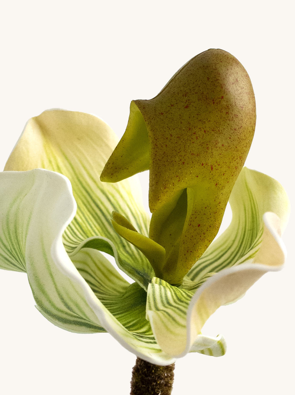 Green Faux Lady's Slipper Orchid - 19.5"