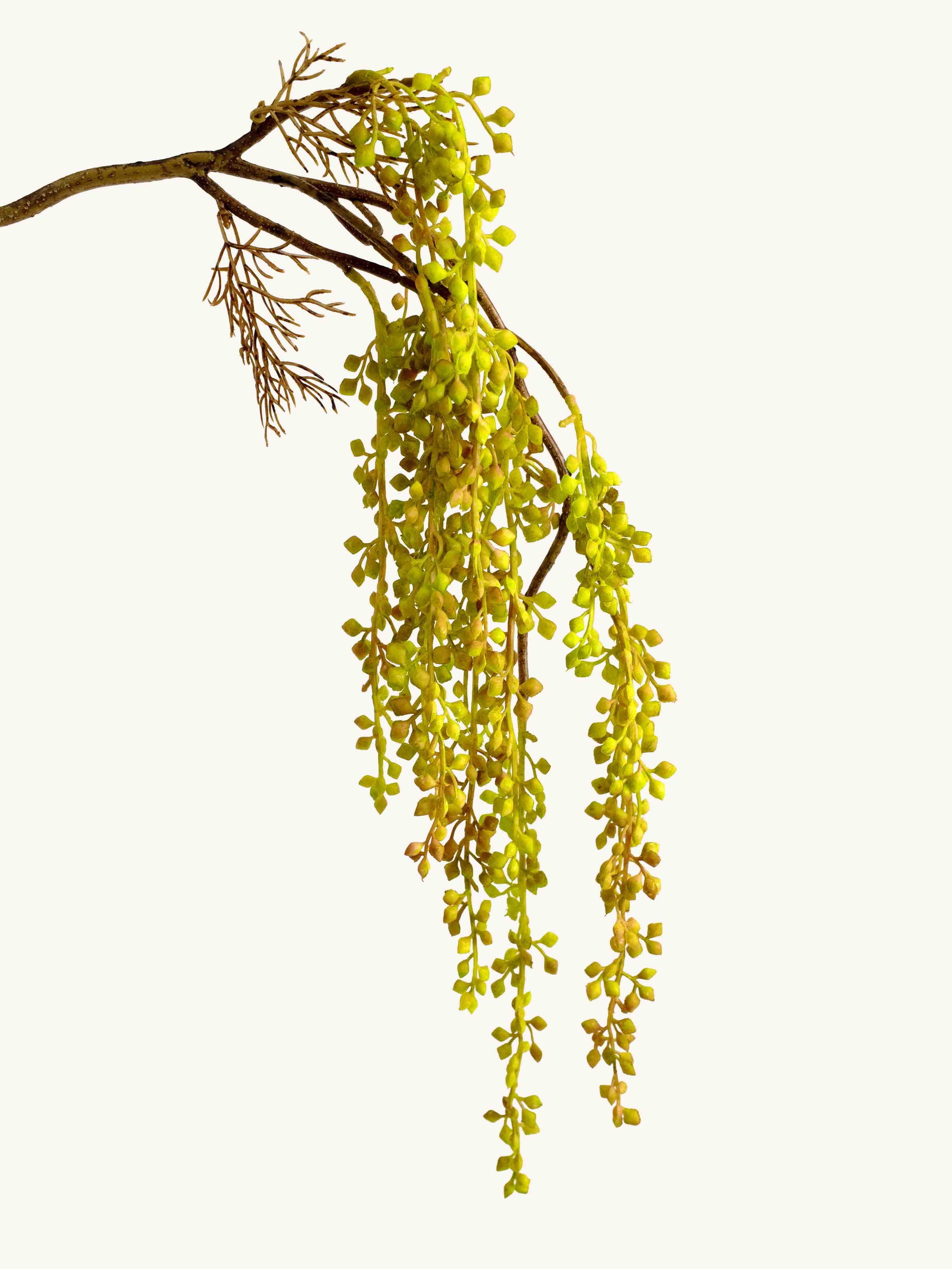 Yellow-Green Artificial Love Pea Pod Branch - 23"