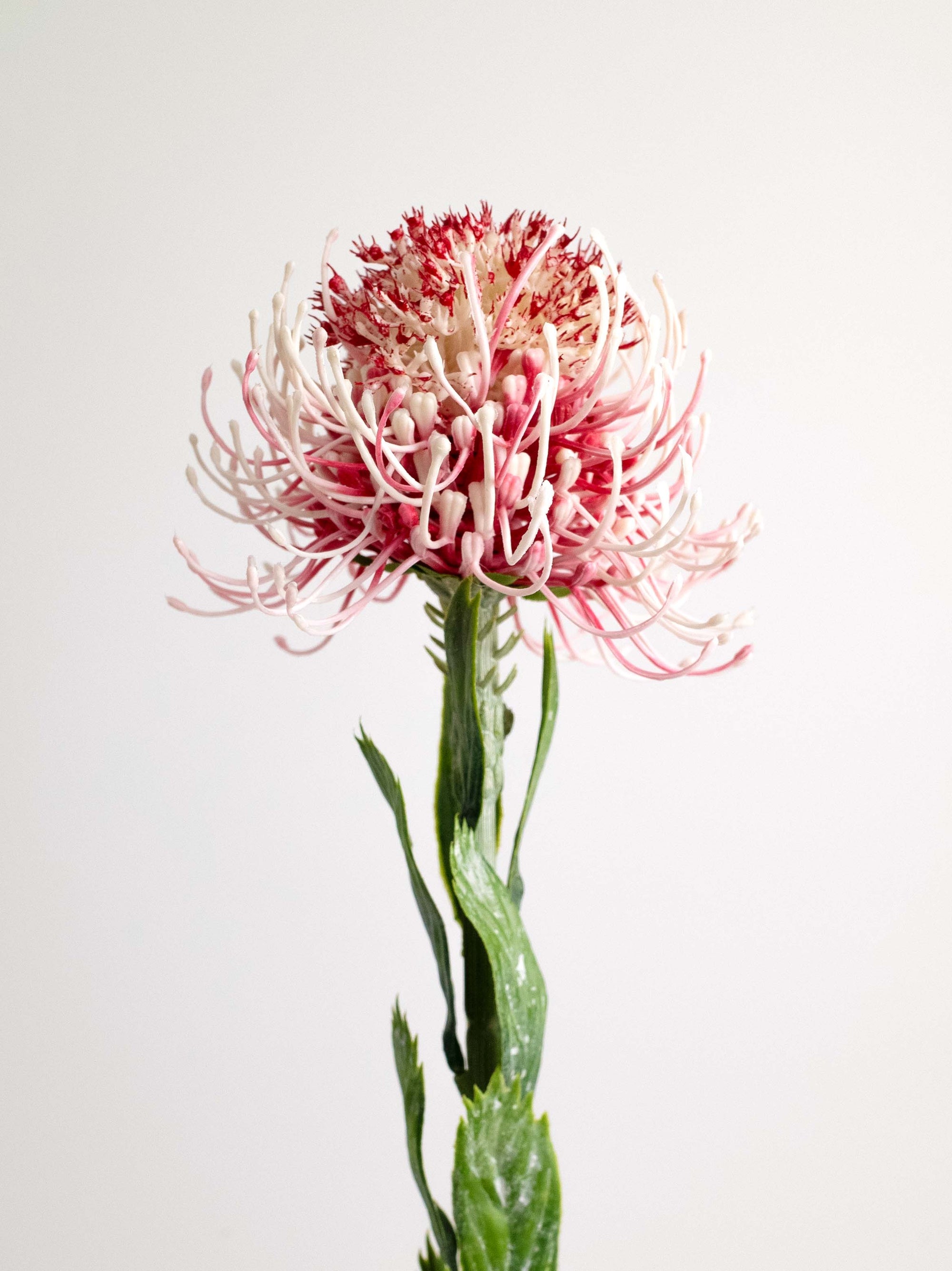 Red & White Faux Sunburst Pincushion Needle Flower - 23.5"
