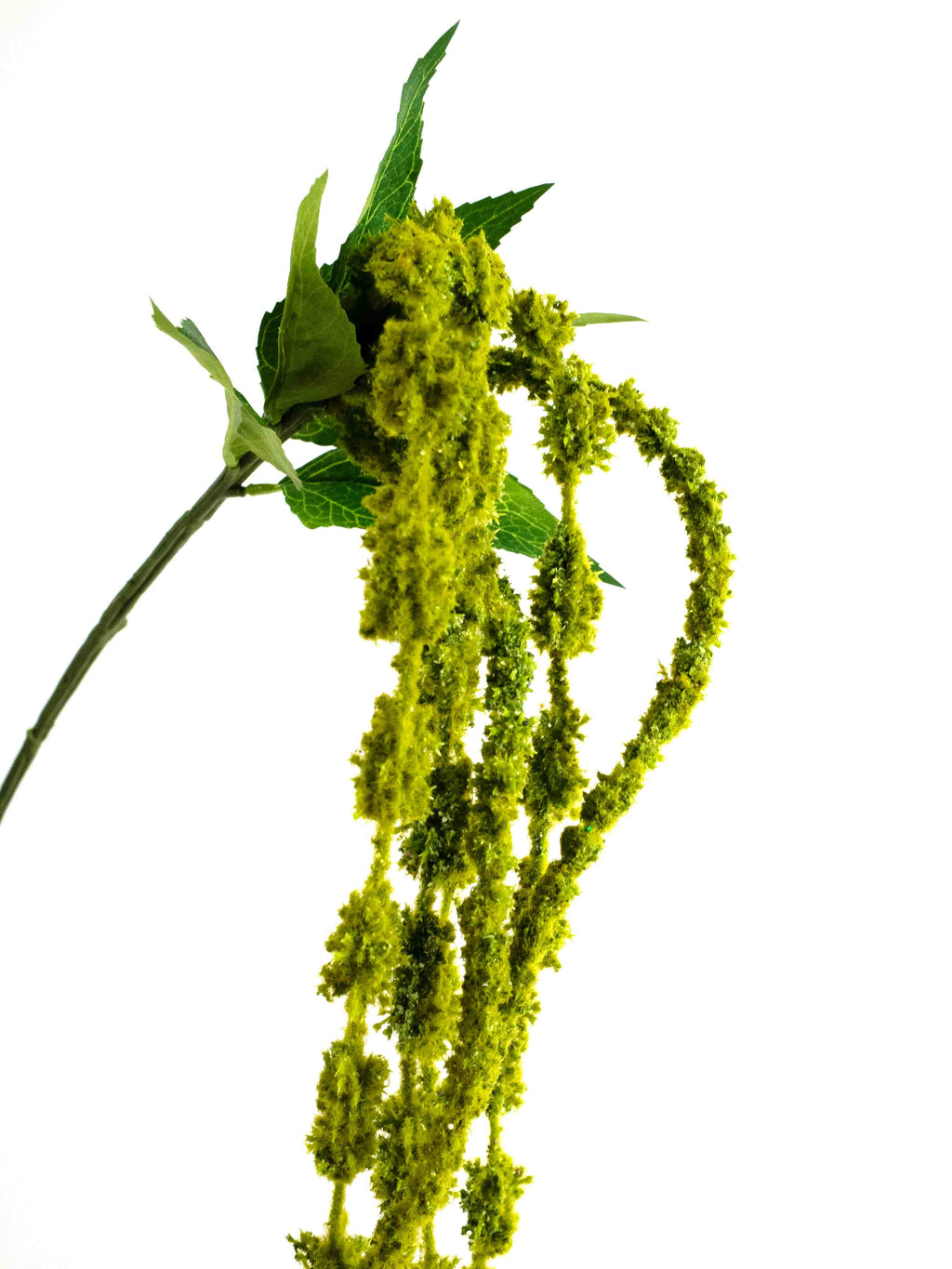 Artificial Hanging Amaranthus in Green - 47.5"