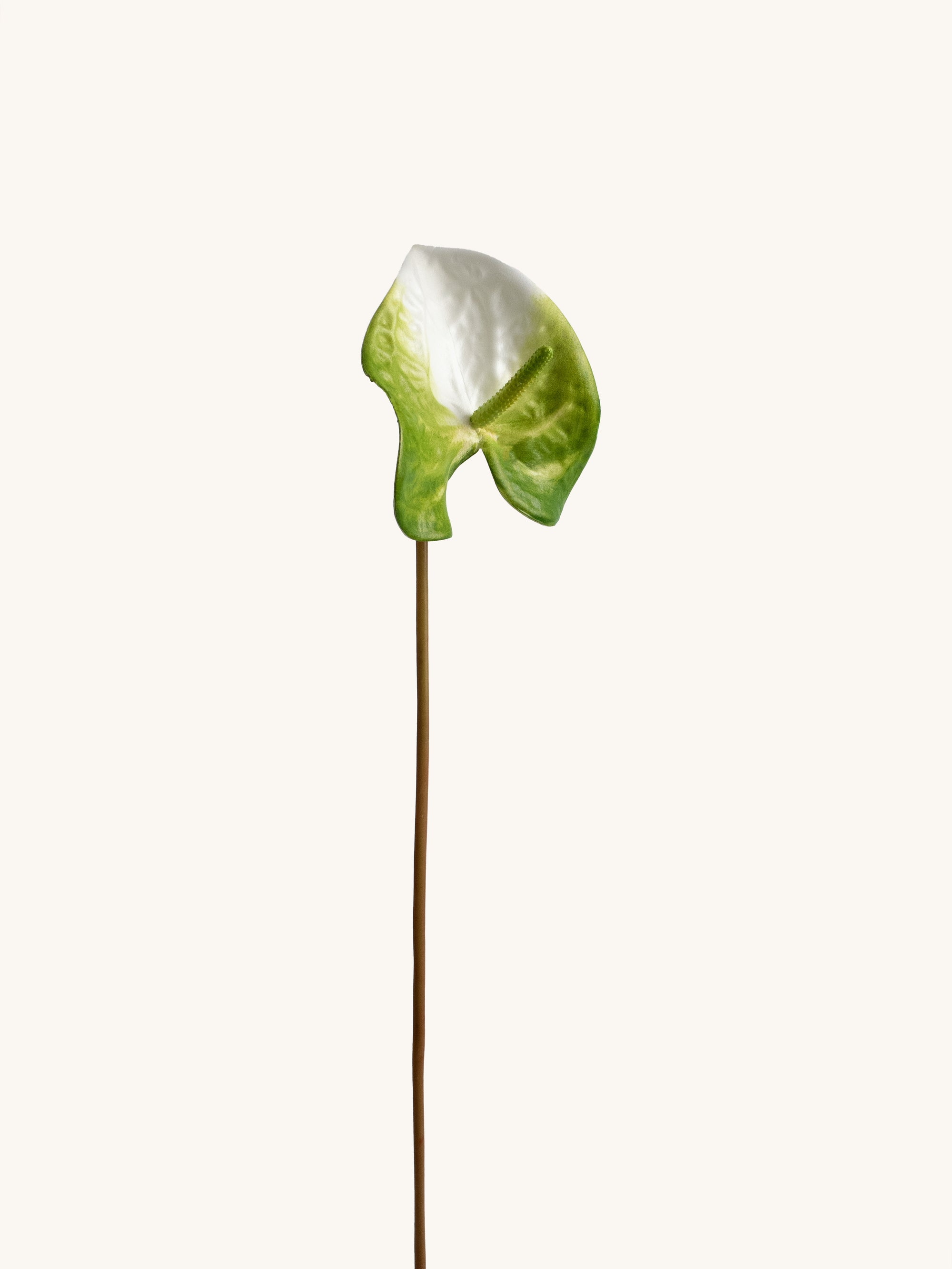 White & Deep Green Artificial Tropical Anthurium - 23"