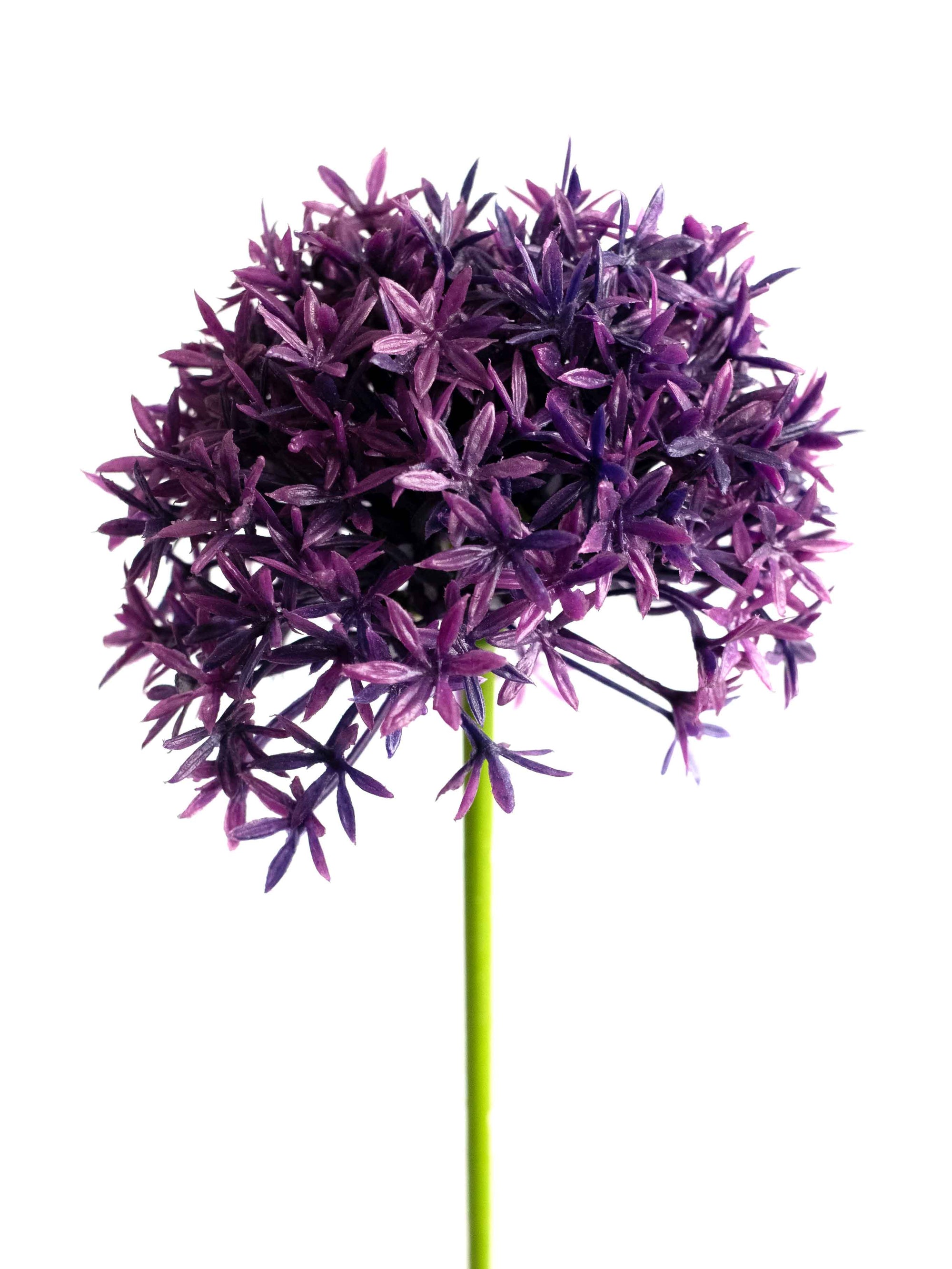 Dark Purple Artificial Allium Wildflower - 24.5"
