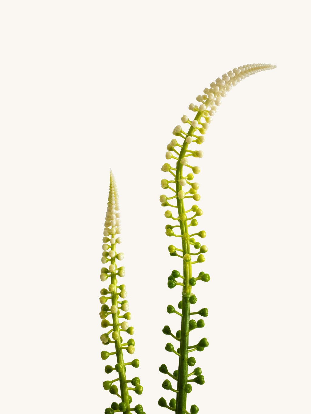 Light Green Artificial Scorzonera Spike - 30"
