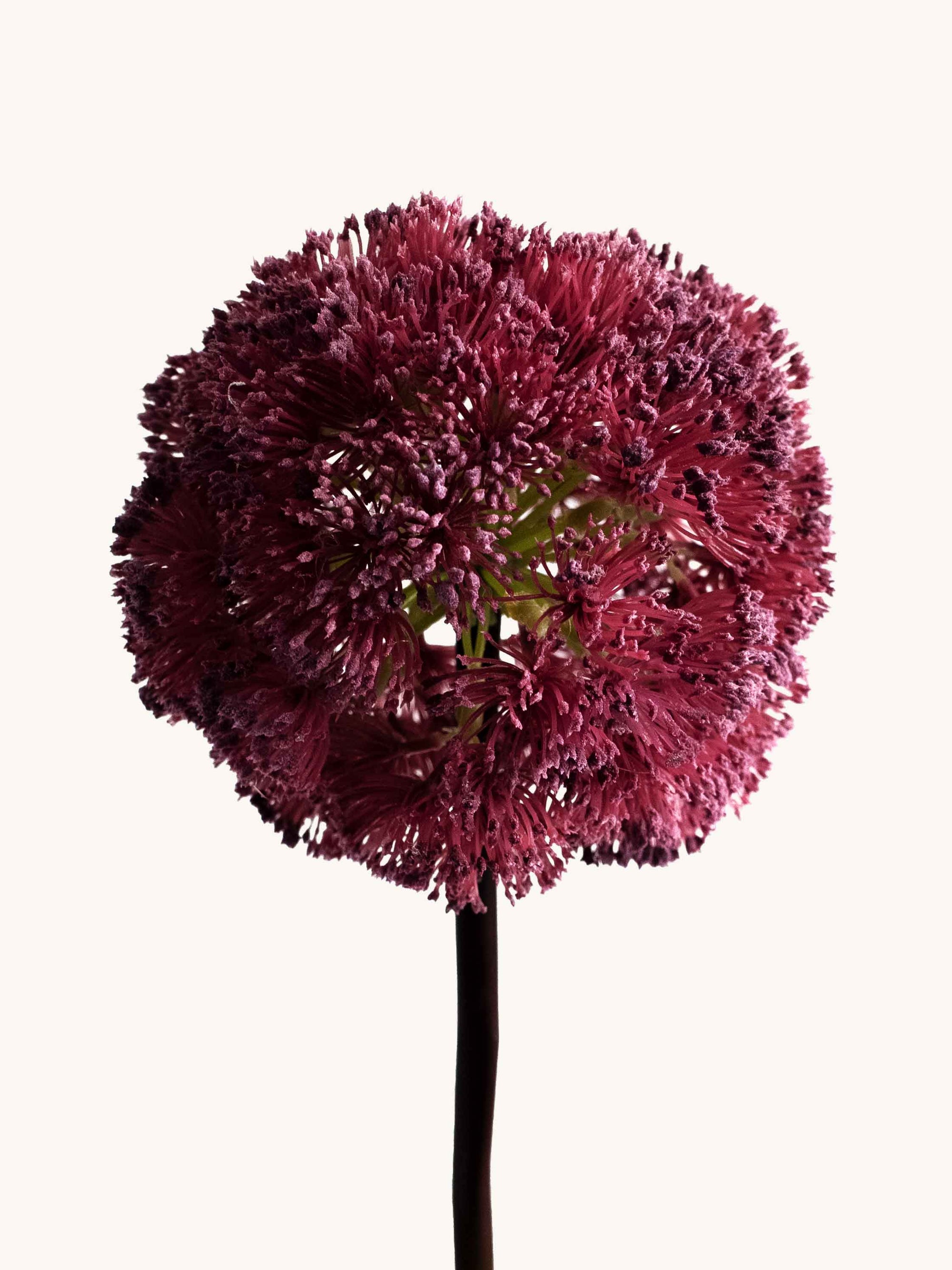 Burgundy Artificial Allium Ball