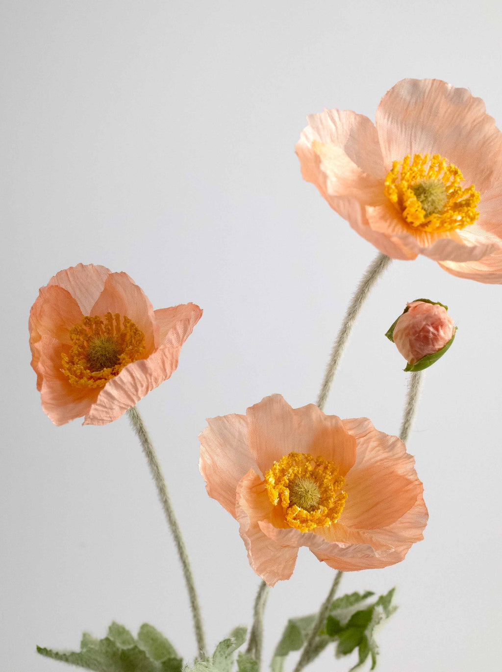 Champagne Artificial Poppy Flowers - 24"
