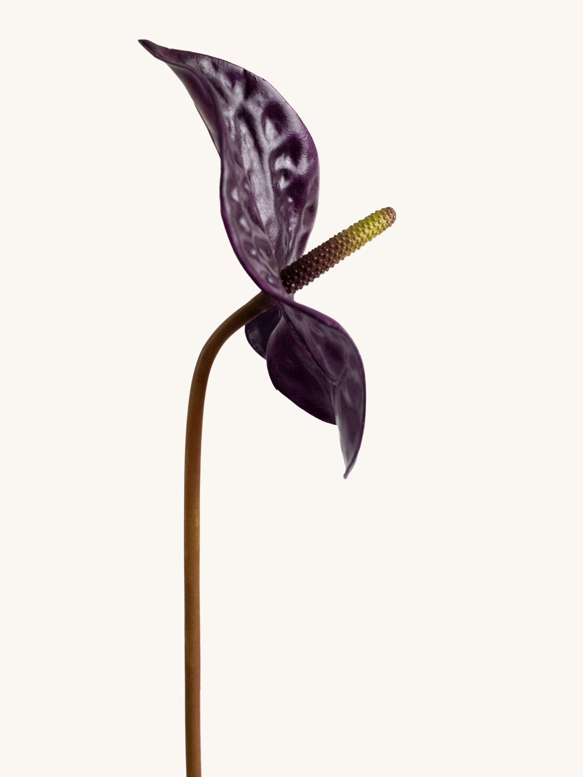 Purple Artificial Tropical Anthurium - 23"