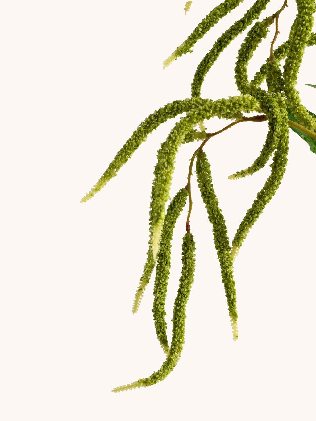 Green Artificial Amaranthus Sprays - 37.5"