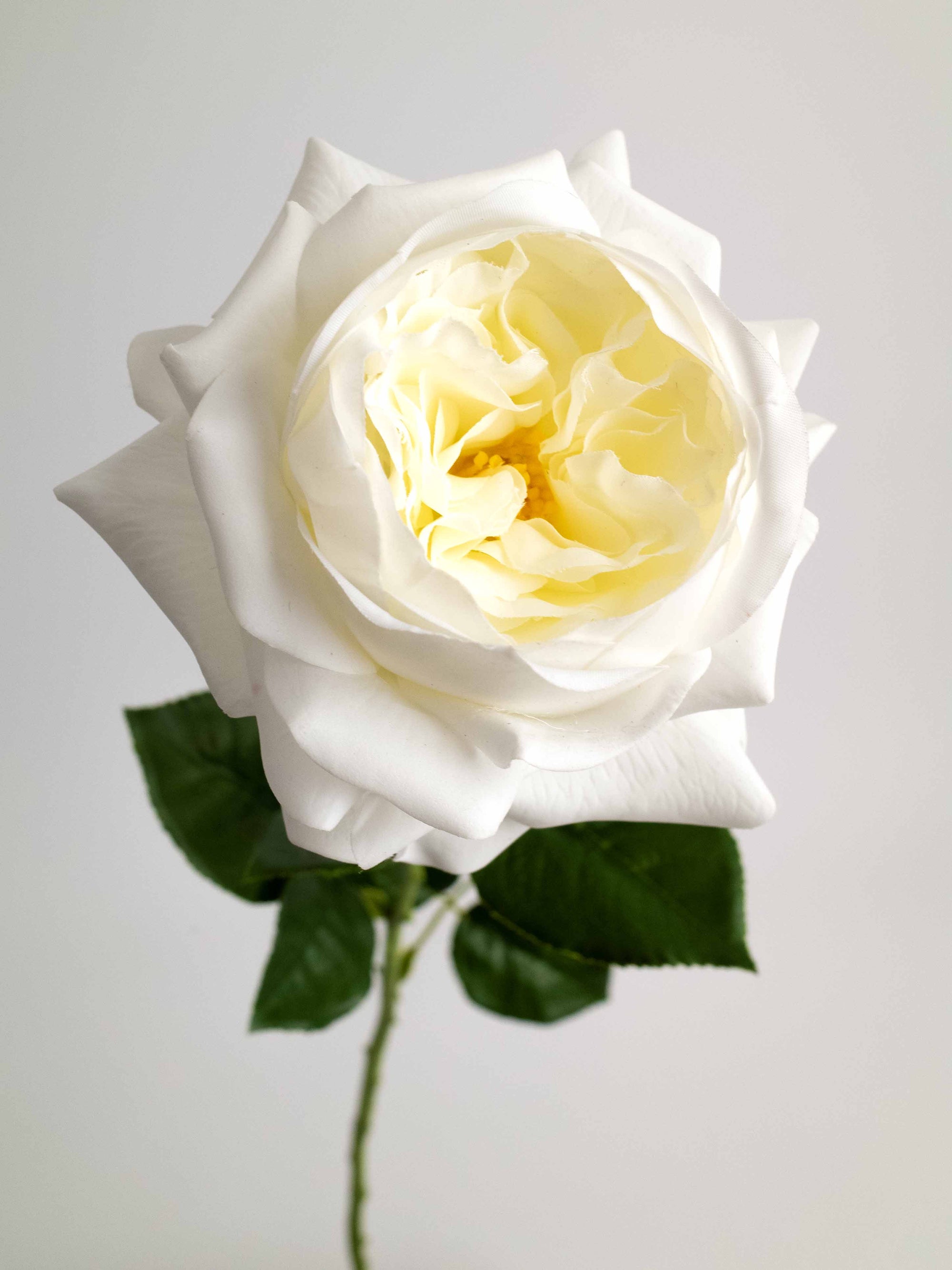 White Artificial Real Touch Austin Rose - 29"