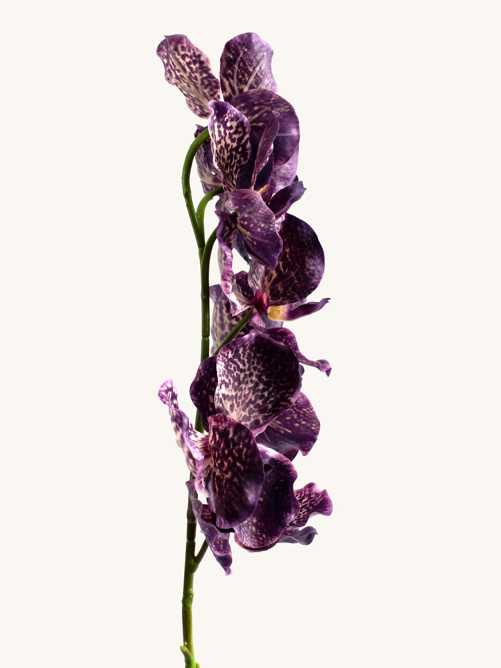 Purple Leopard Real-Touch Faux Vanda Orchid - 31.5"