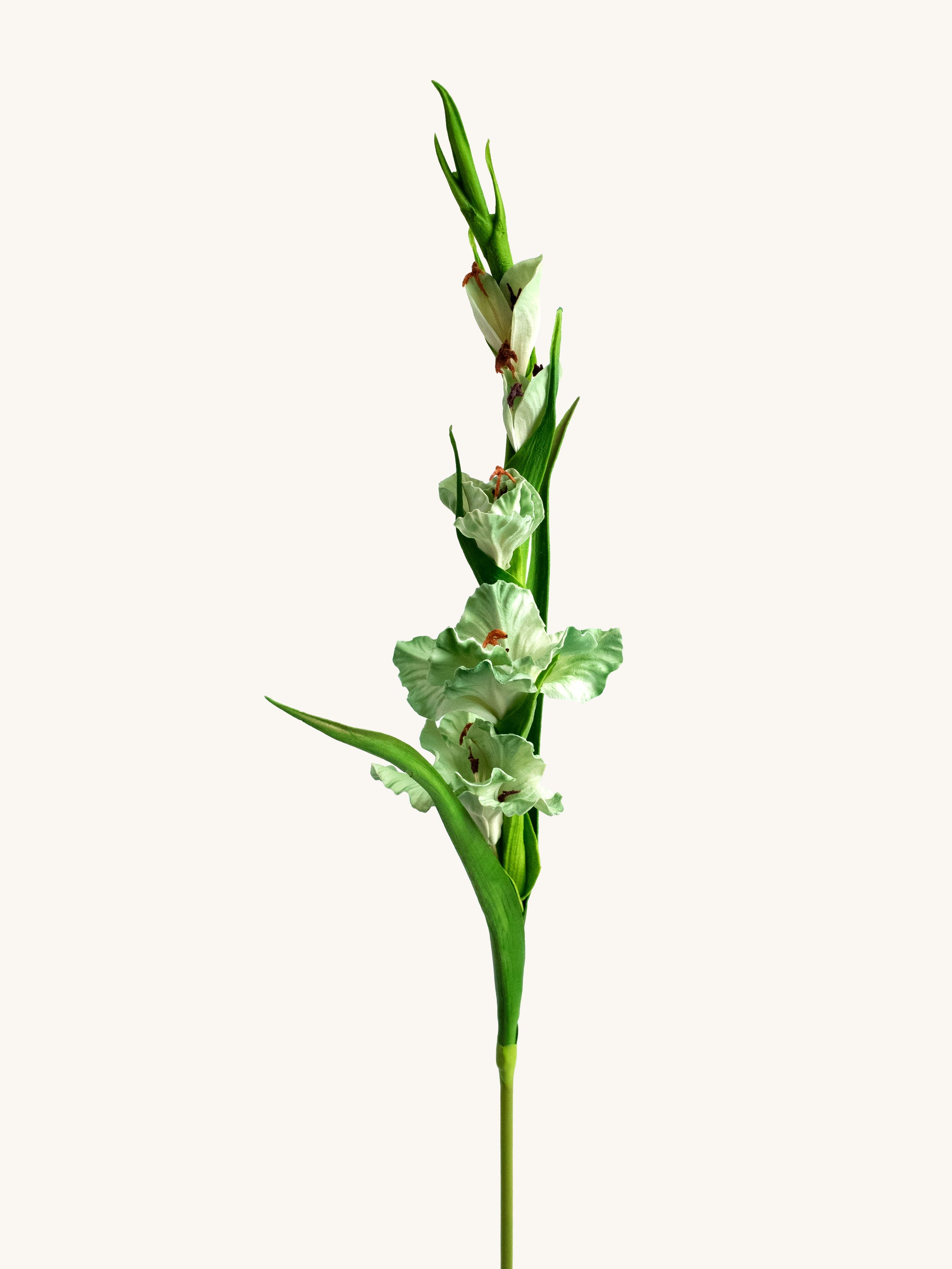 Green Artificial Real Touch Gladiolus Sword Lily - 32"