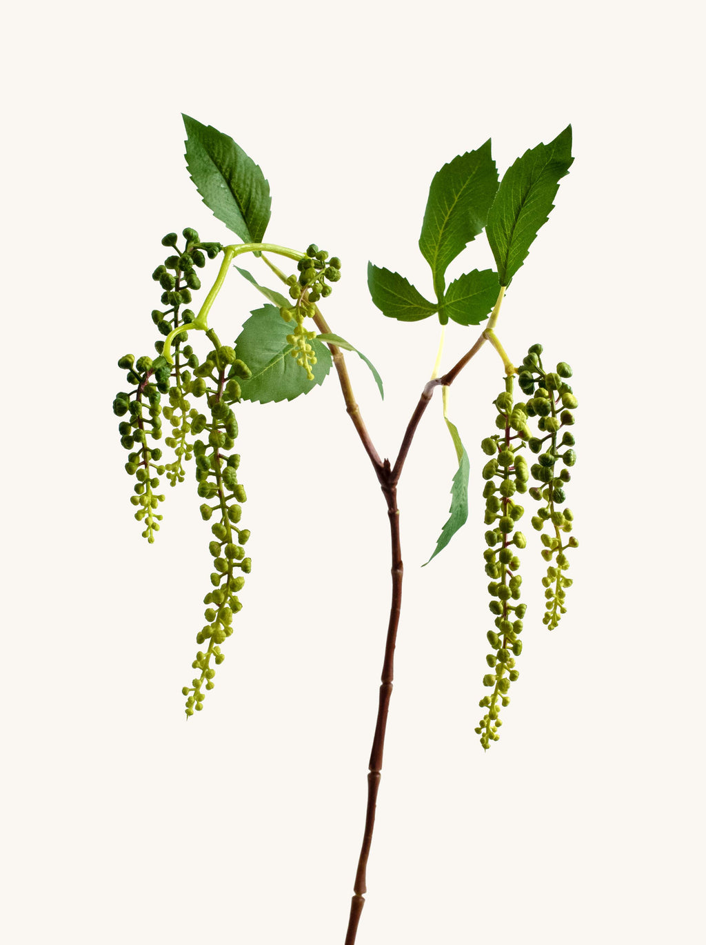Green Artificial Pokeweed Berries - 33.5"