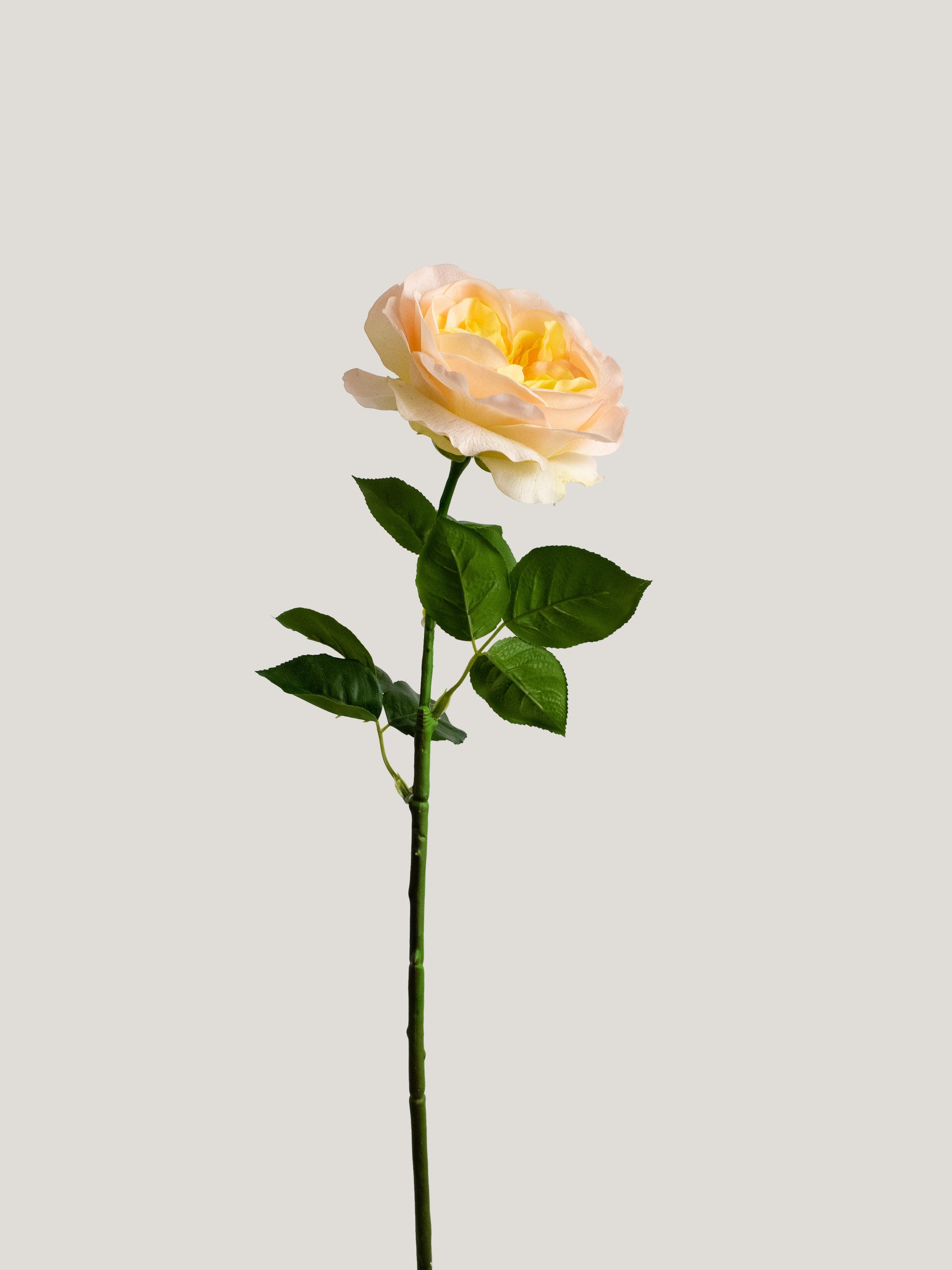 Pale Yellow Artificial Real Touch Austin Rose - 29"