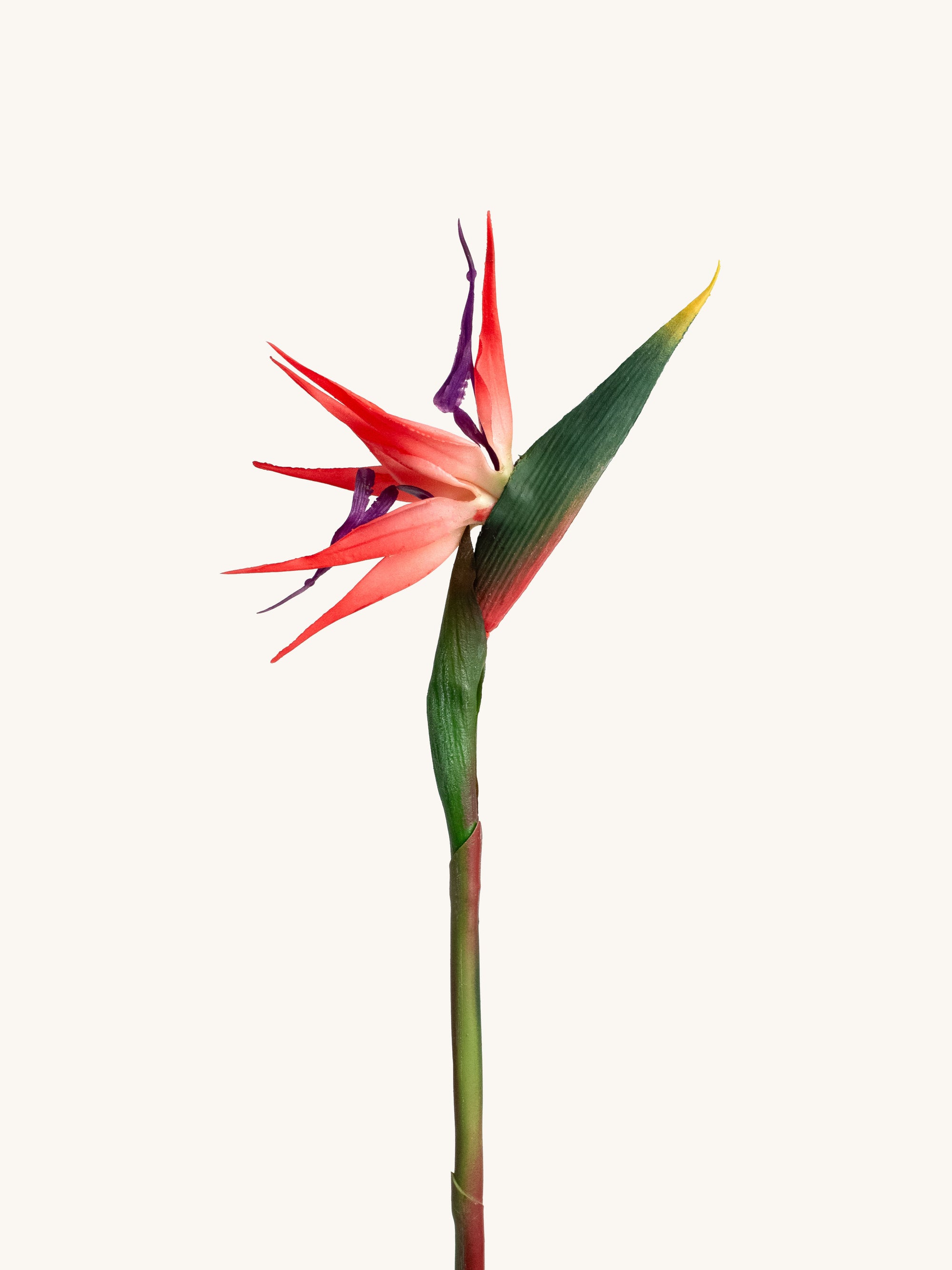Red Artificial Bird of Paradise - 25"