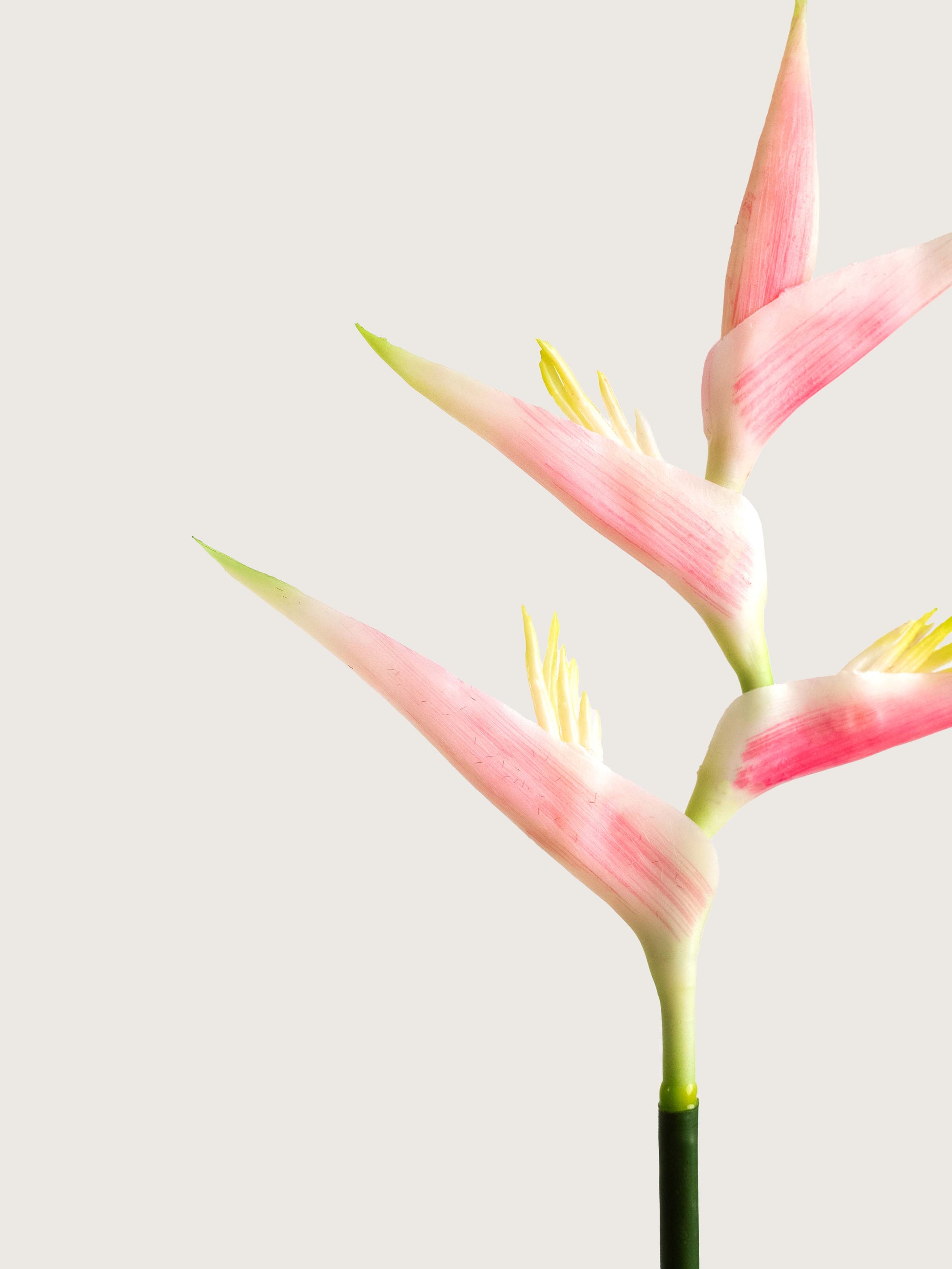 Pink Artificial Heliconia Flower - 29"