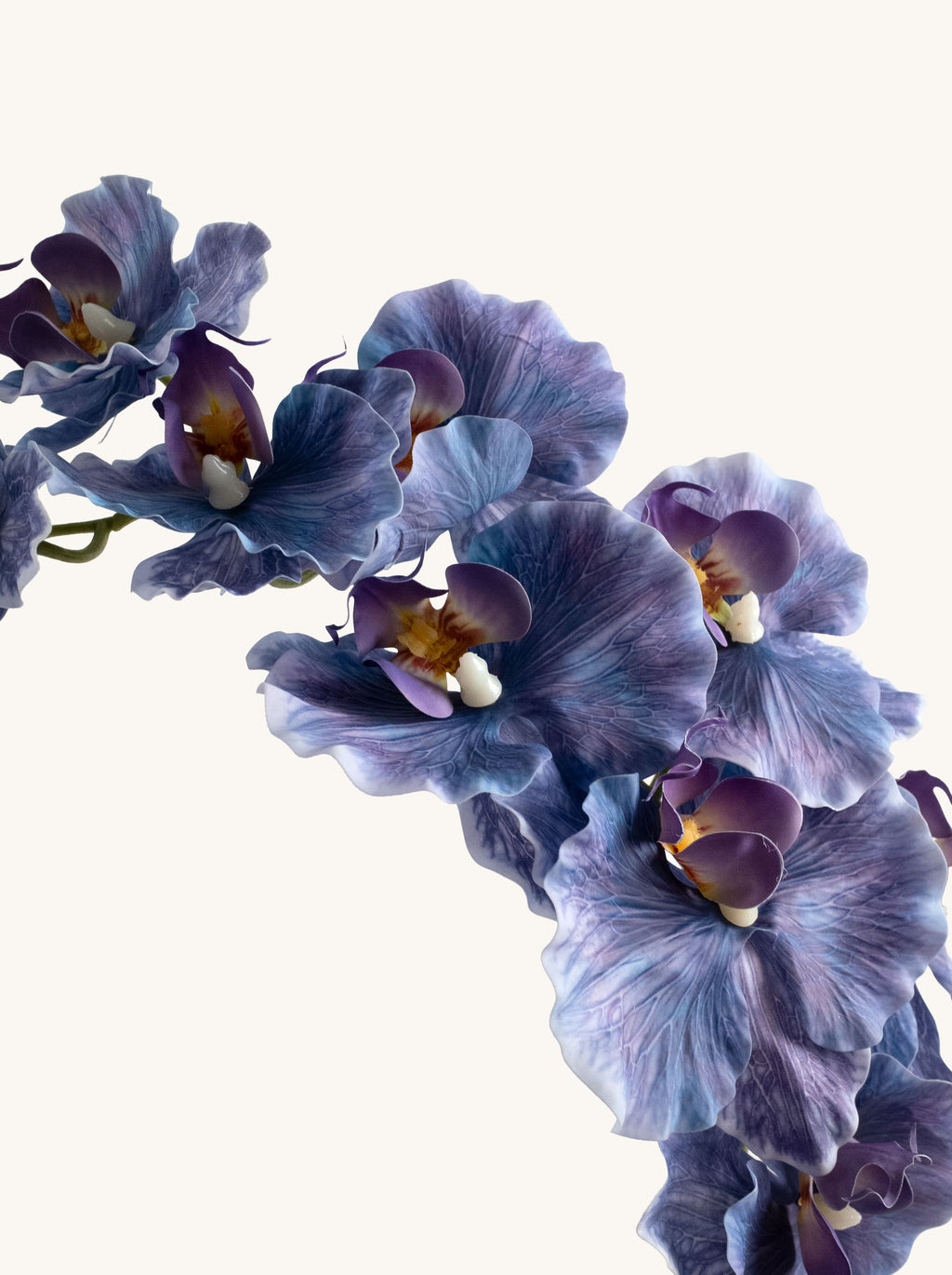 Navy Blue Artificial Phalaenopsis Moth Orchid - 39"