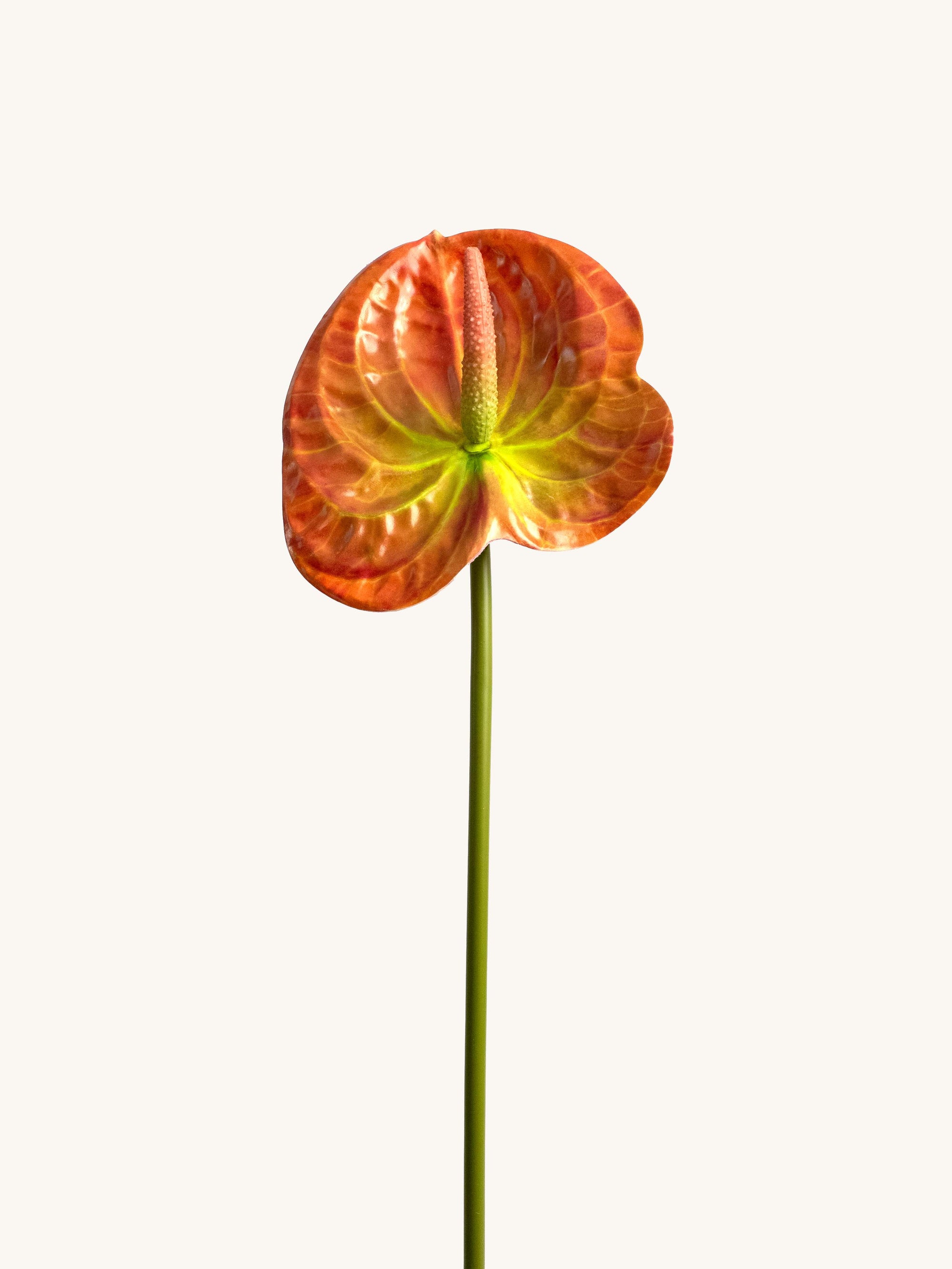 Orange 3D-Printed Artificial Tropical Anthurium - 23"
