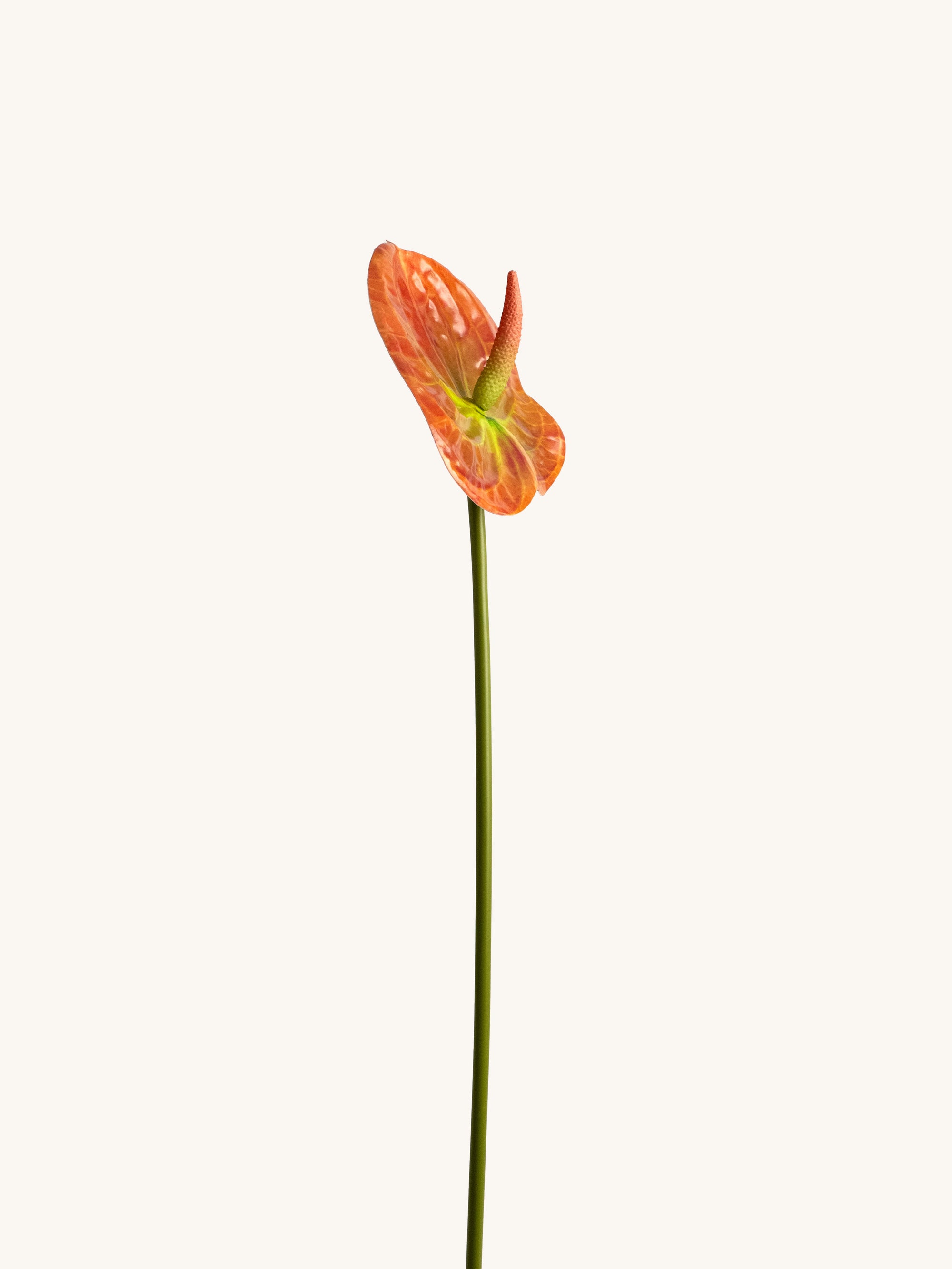 Orange 3D-Printed Artificial Tropical Anthurium - 23"