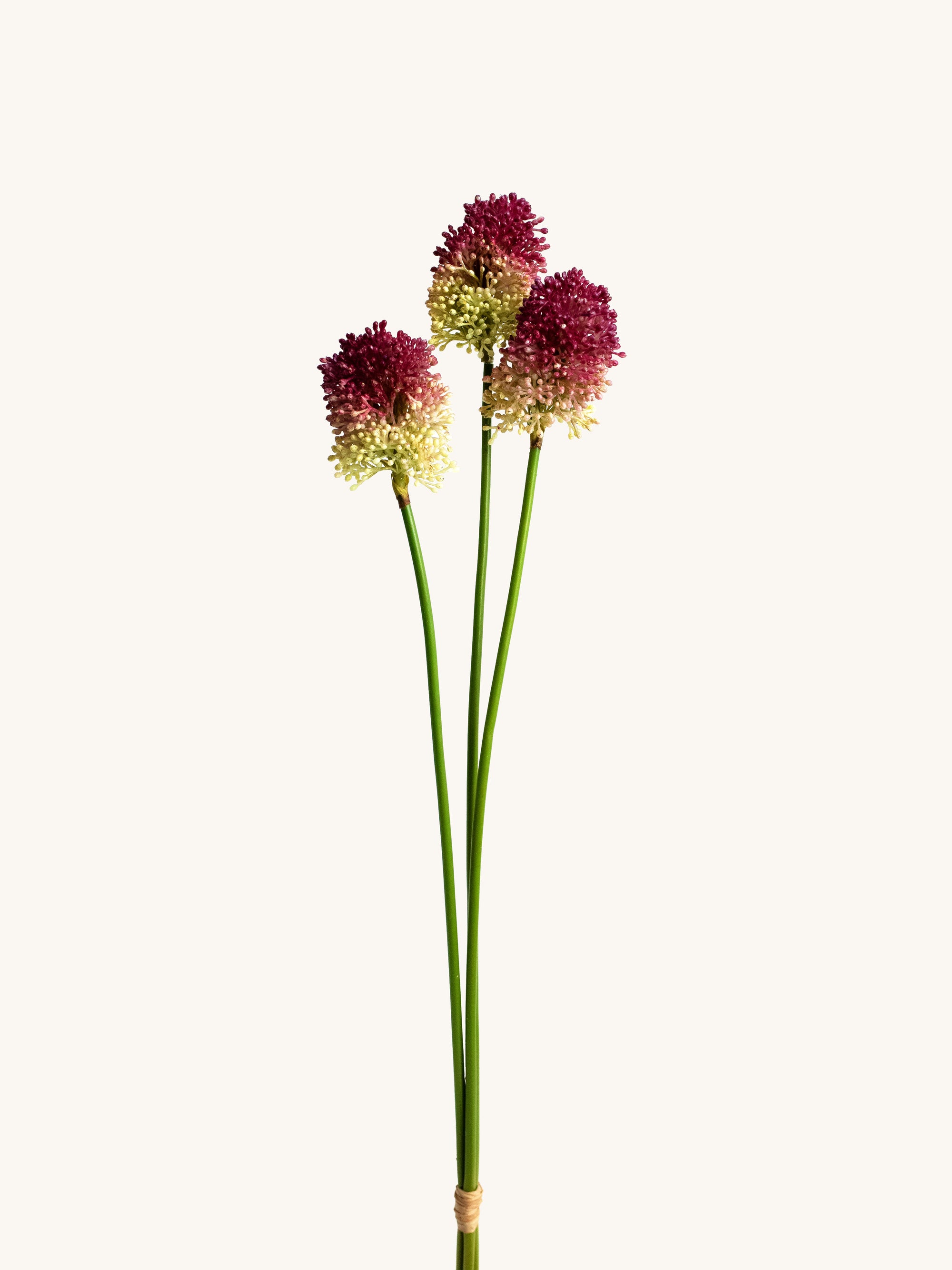Burgundy-Green Artificial Allium Bundle - 21"