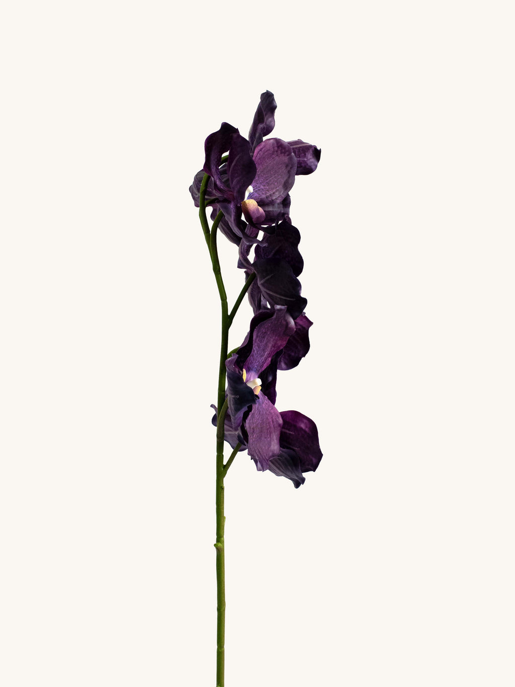 Black Purple Real-Touch Faux Vanda Orchid - 31.5"