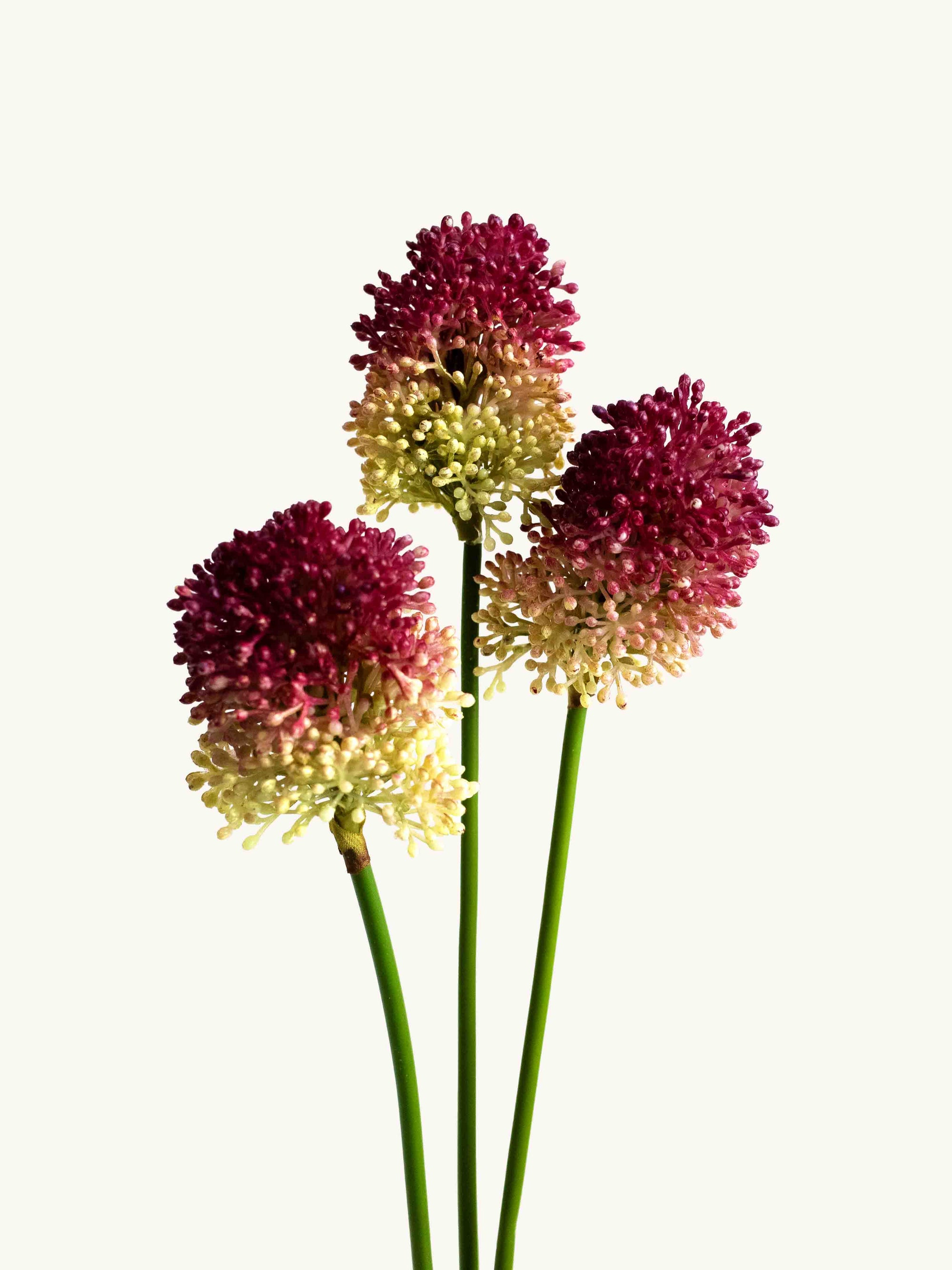 Burgundy-Green Artificial Allium Bundle - 21"