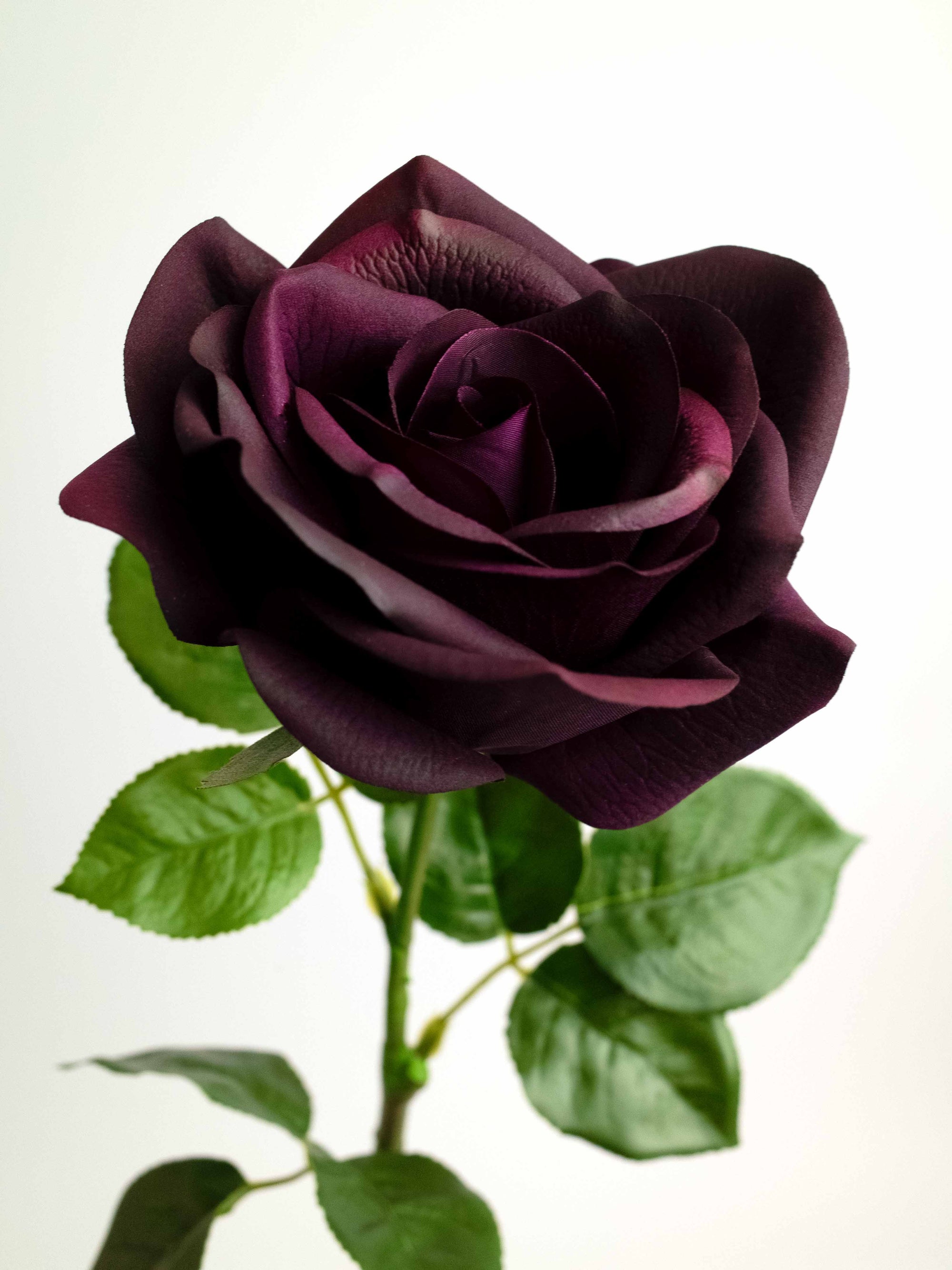 Artificial Black Baccara Rose - 25.5"