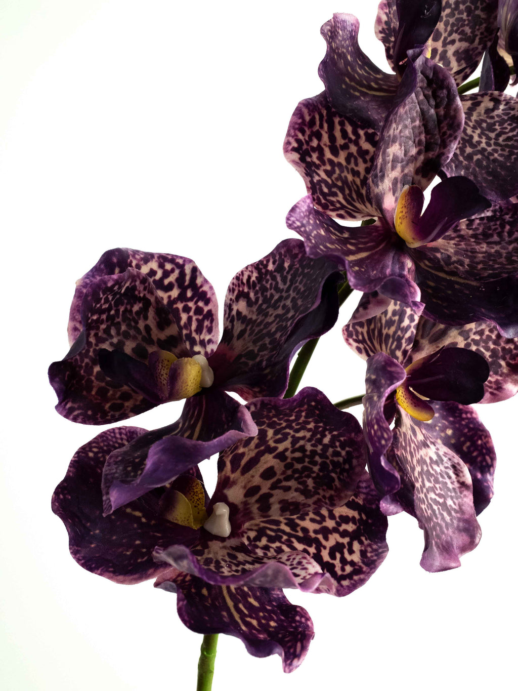Purple Leopard Real-Touch Faux Vanda Orchid - 31.5"