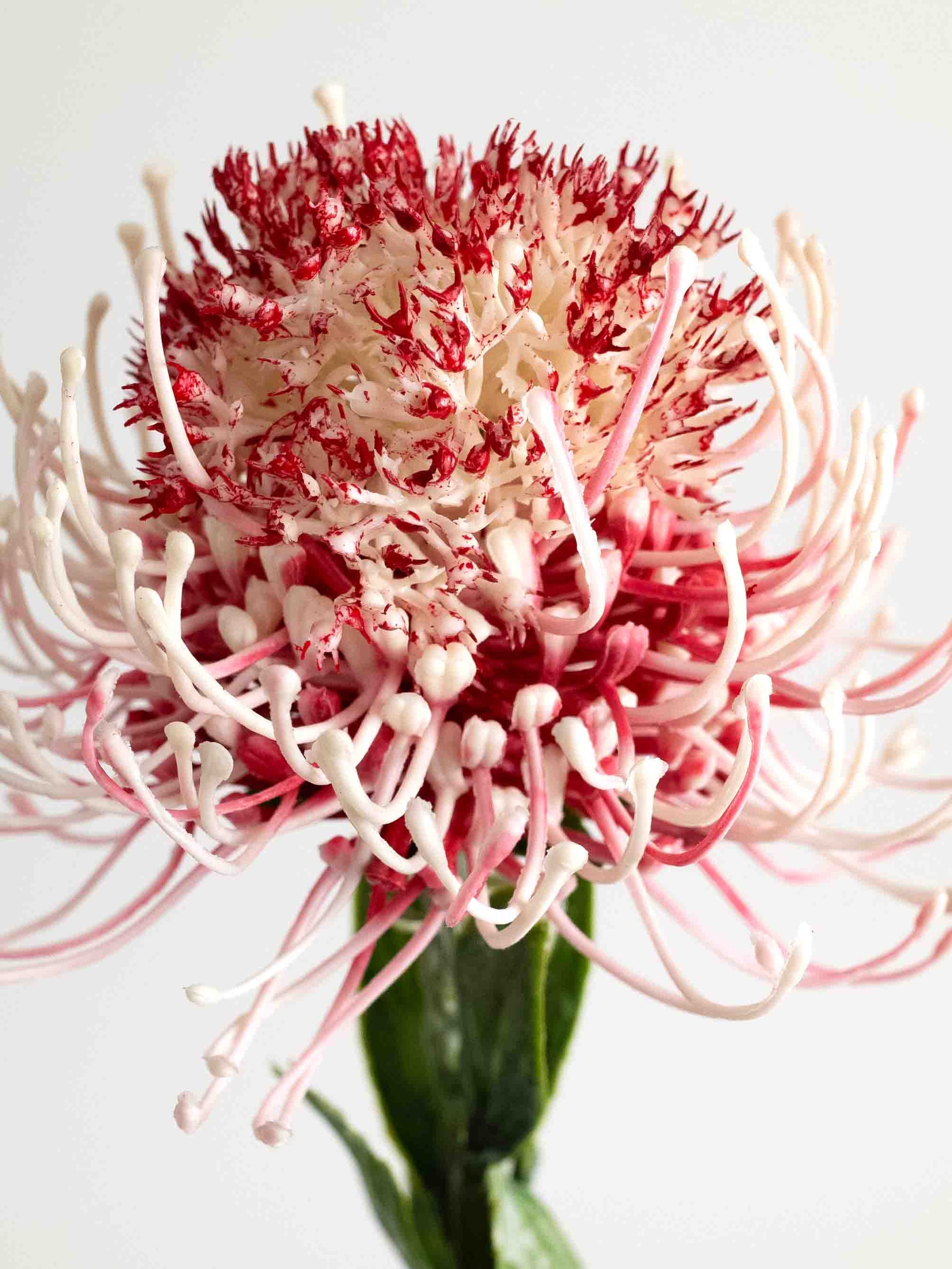 Red & White Faux Sunburst Pincushion Needle Flower - 23.5"