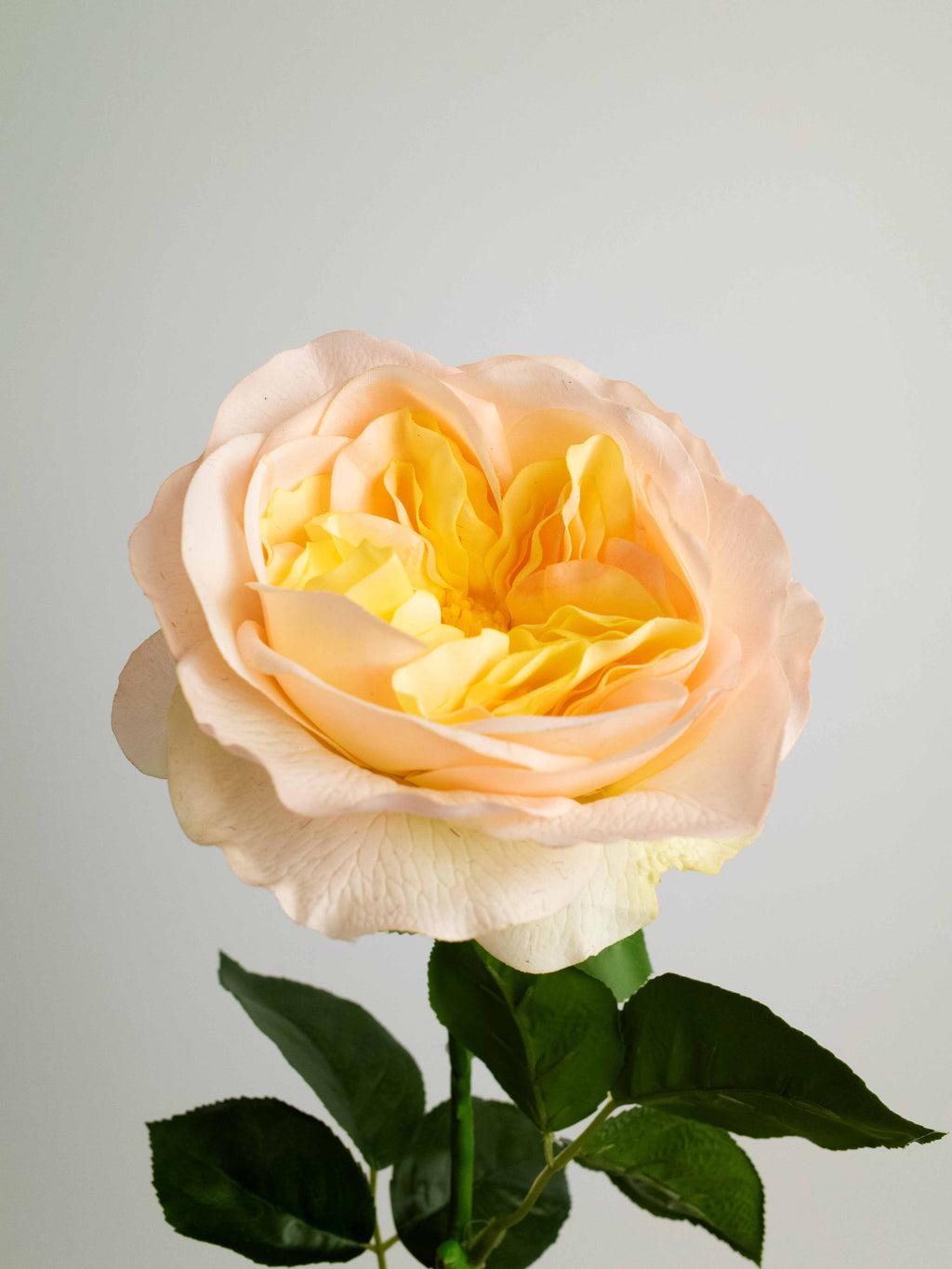 Pale Yellow Artificial Real Touch Austin Rose - 29"
