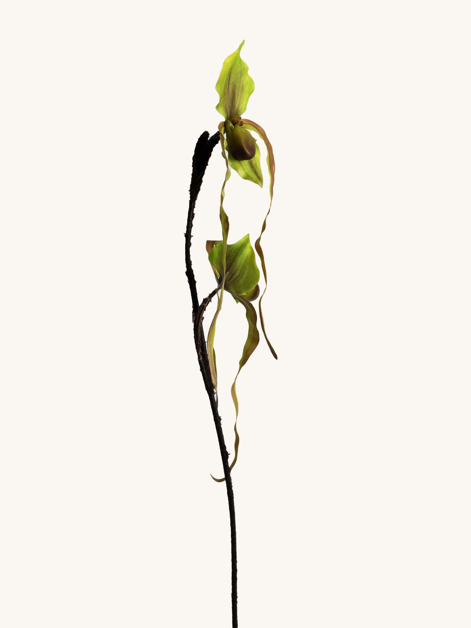 Green Faux Long-Petaled Lady’s Slipper Orchid - 29"