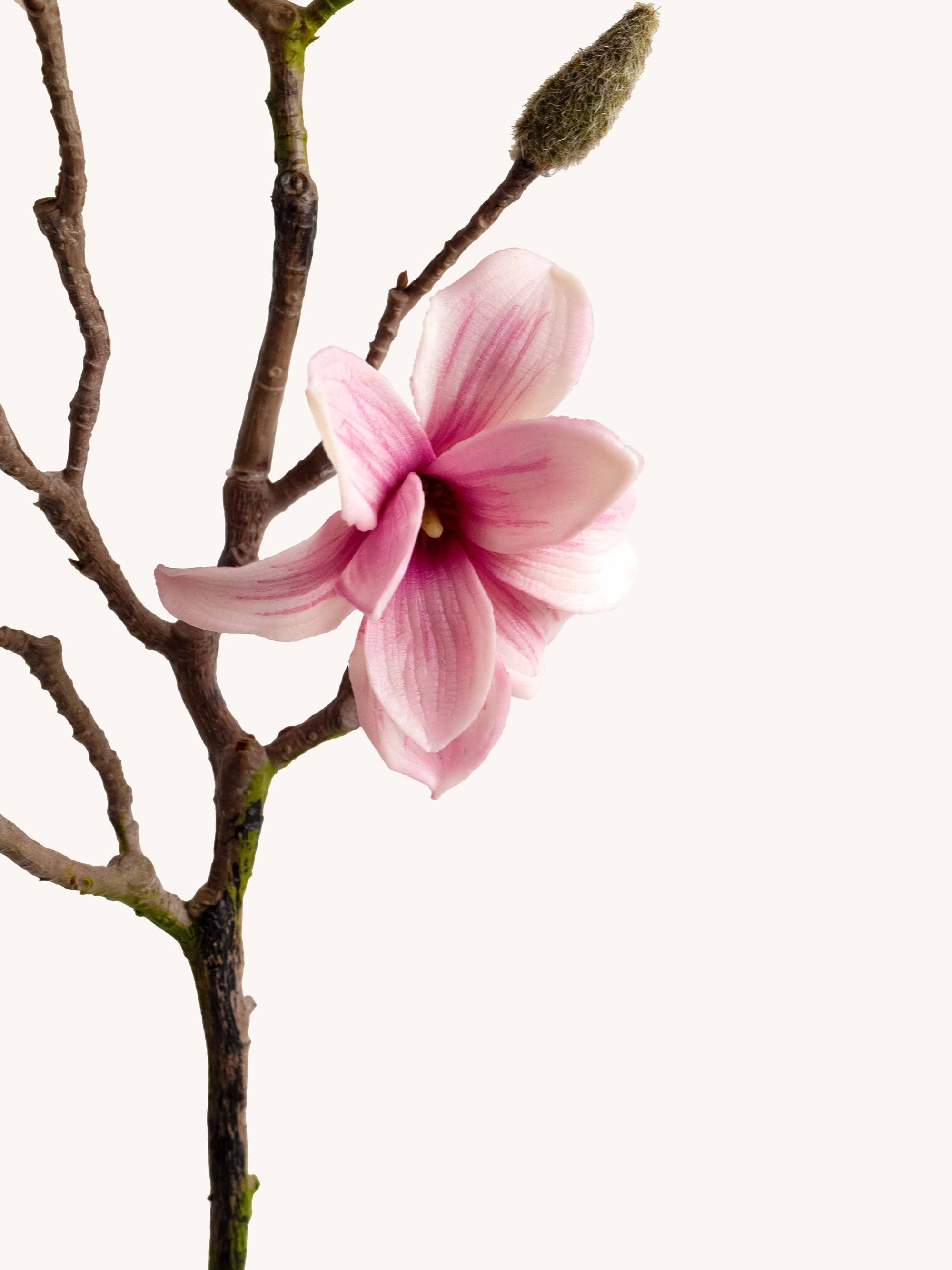 Magenta Faux Magnolia Branch - 28.5"