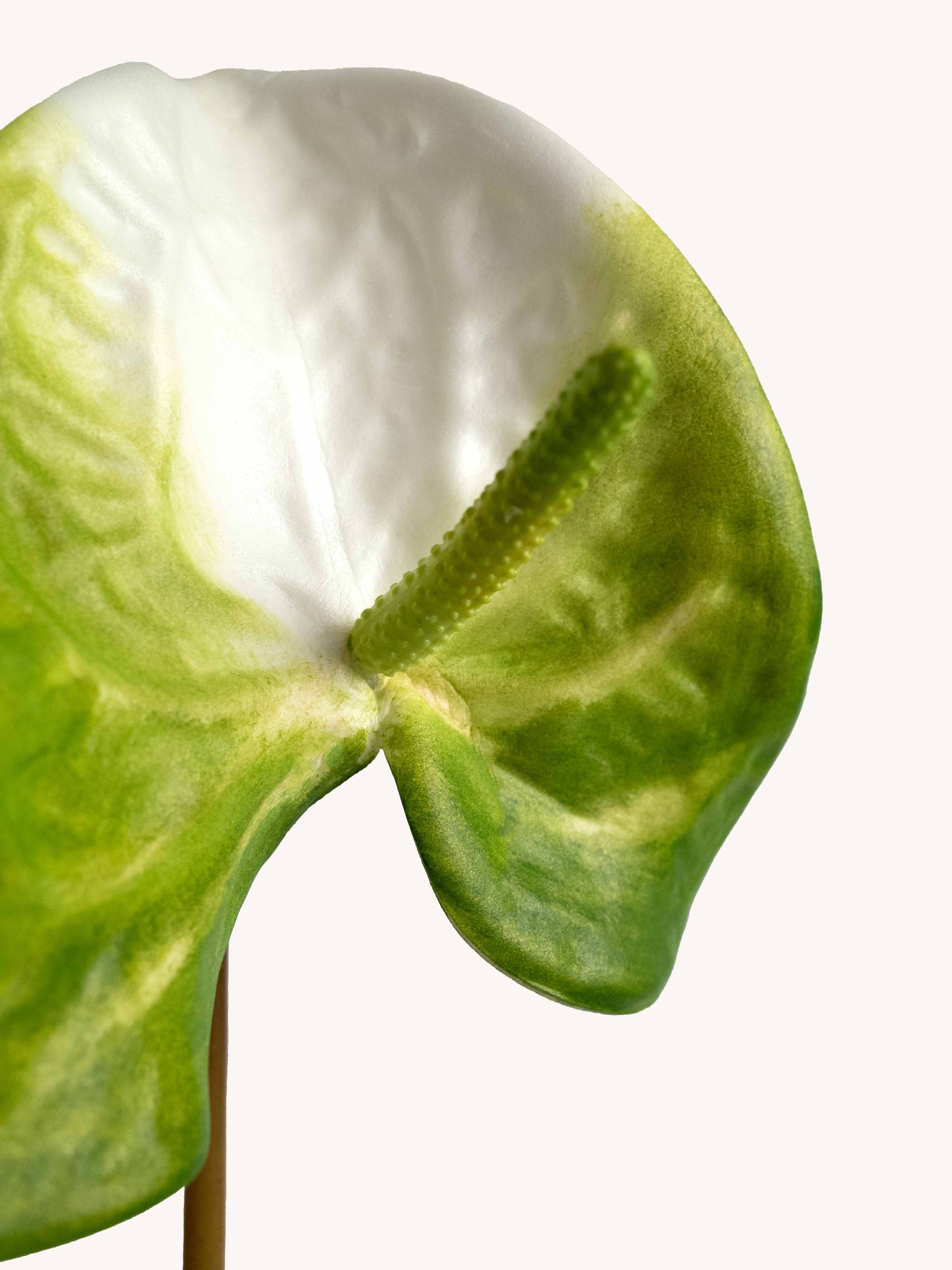 White & Deep Green Artificial Tropical Anthurium - 23"