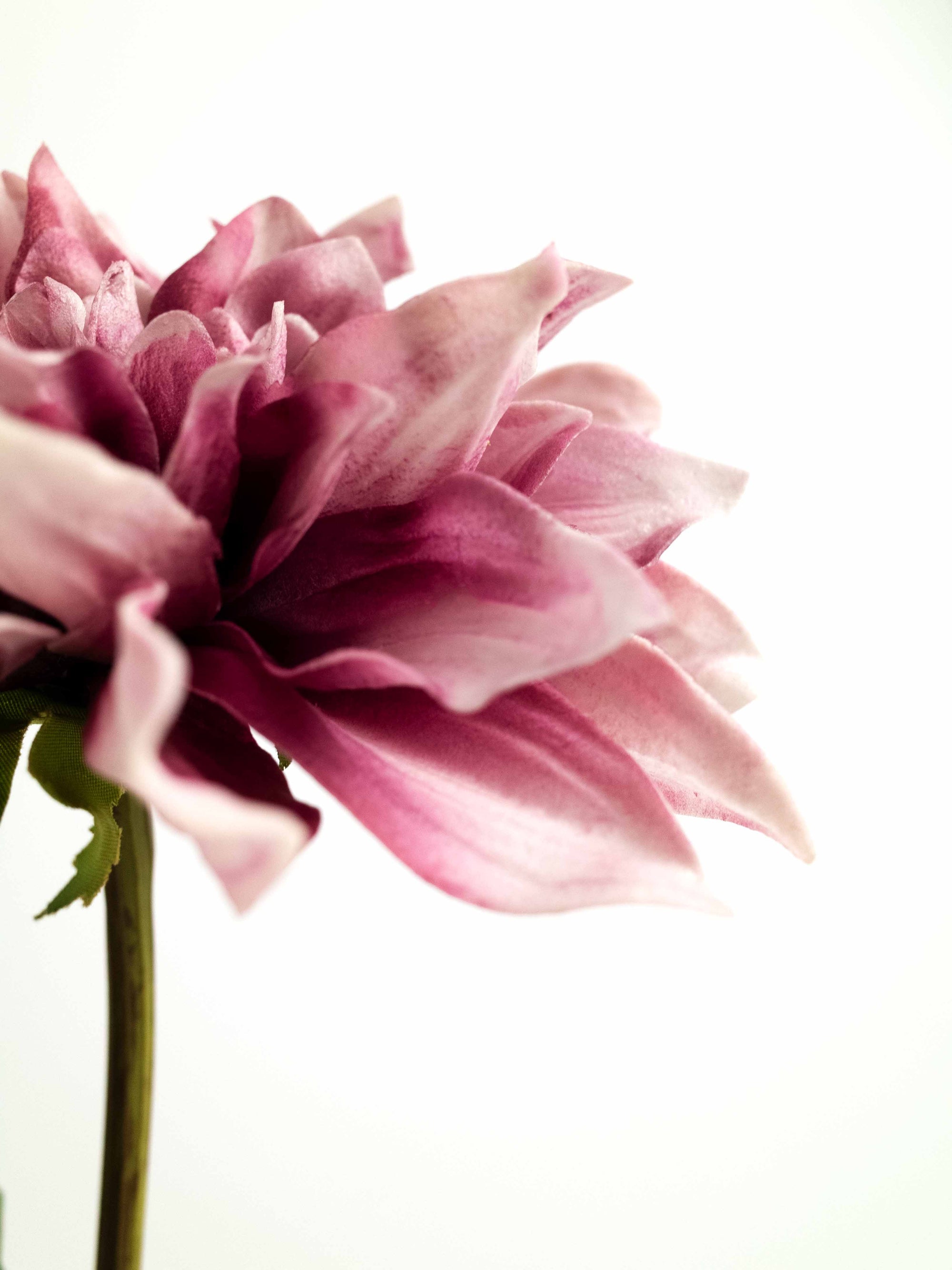 Real-Touch Artificial Dahlia in Mauve - 20.5"
