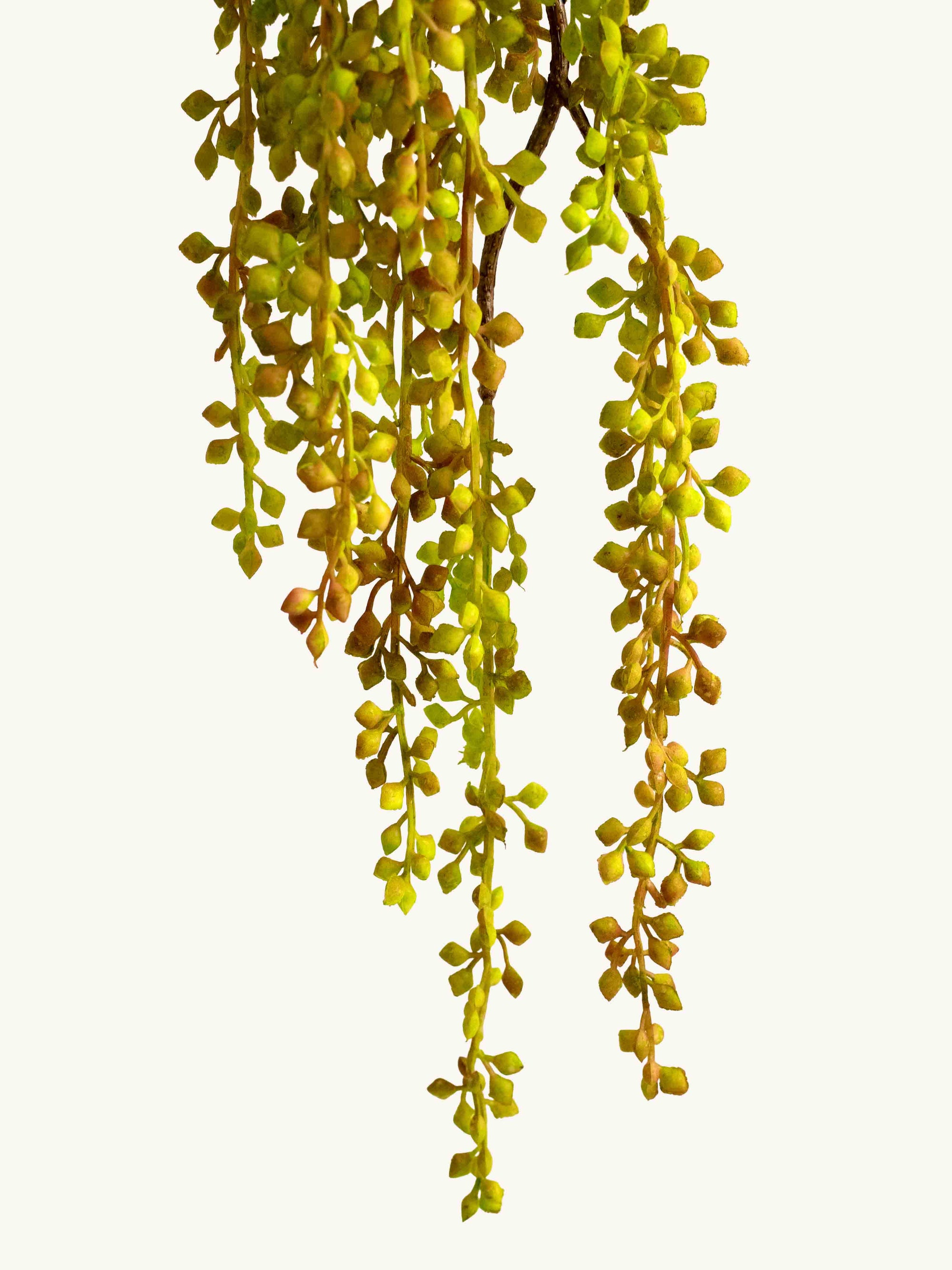 Yellow-Green Artificial Love Pea Pod Branch - 23"