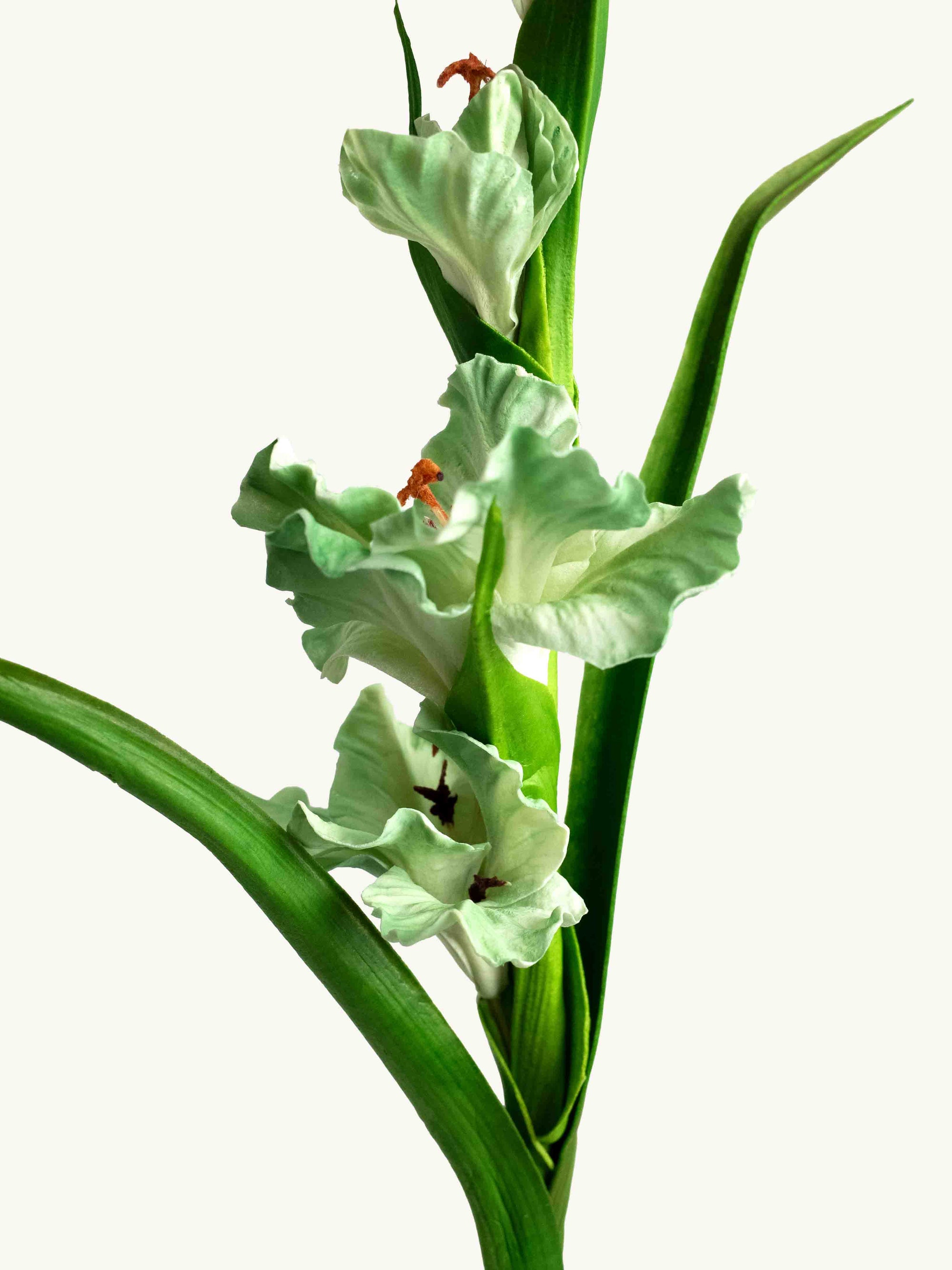 Green Artificial Real Touch Gladiolus Sword Lily - 32"
