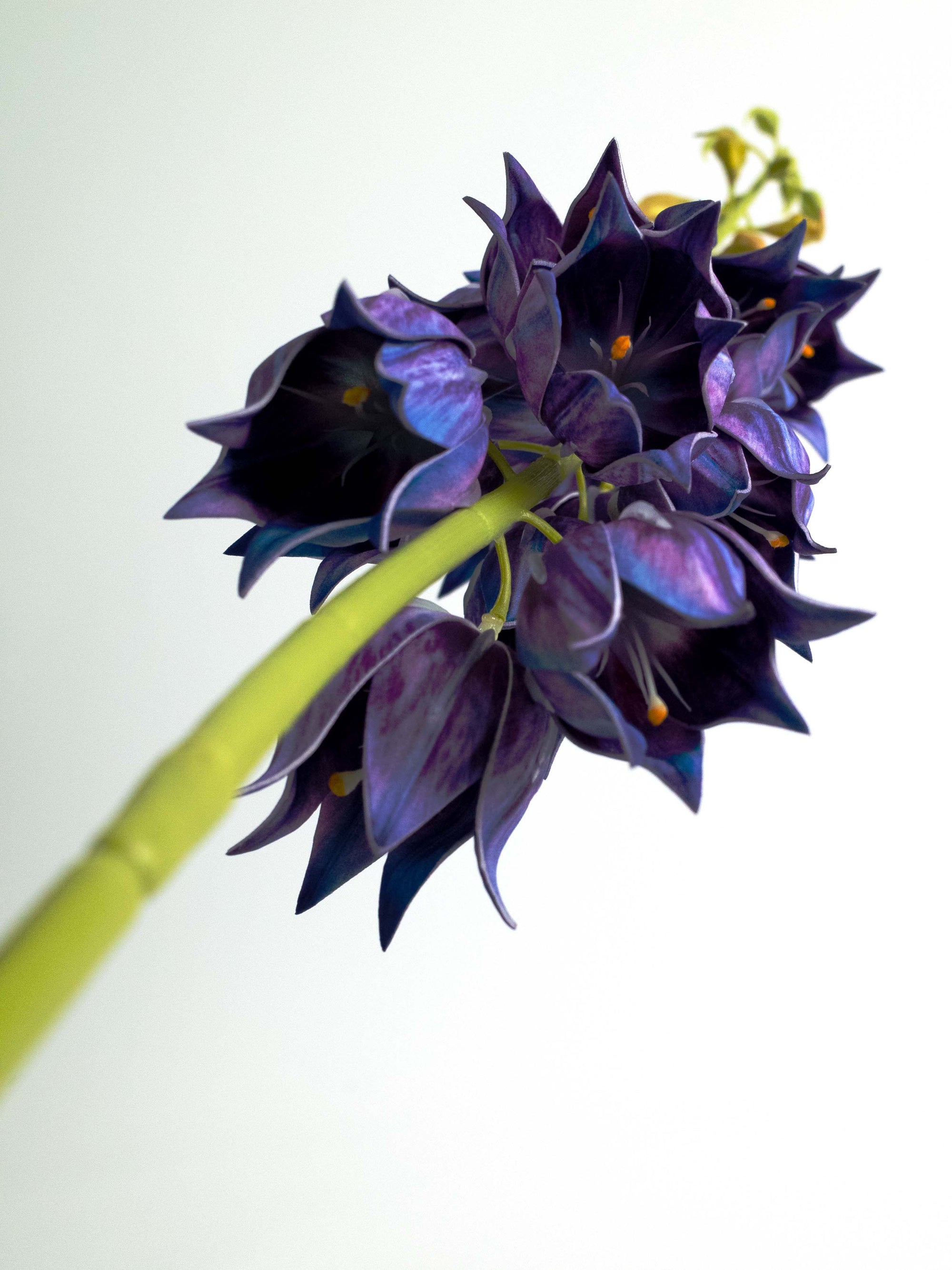 Purple Artificial Campanula Bellflower - 39"