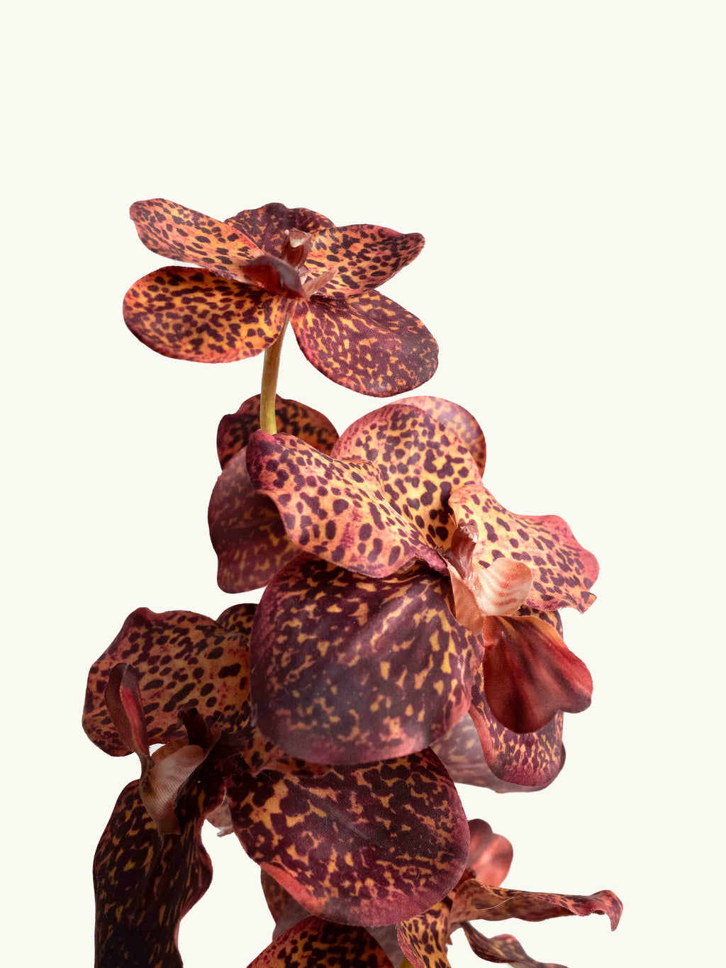 Brown Leopard Real-Touch Artificial Vanda Orchid - 22"