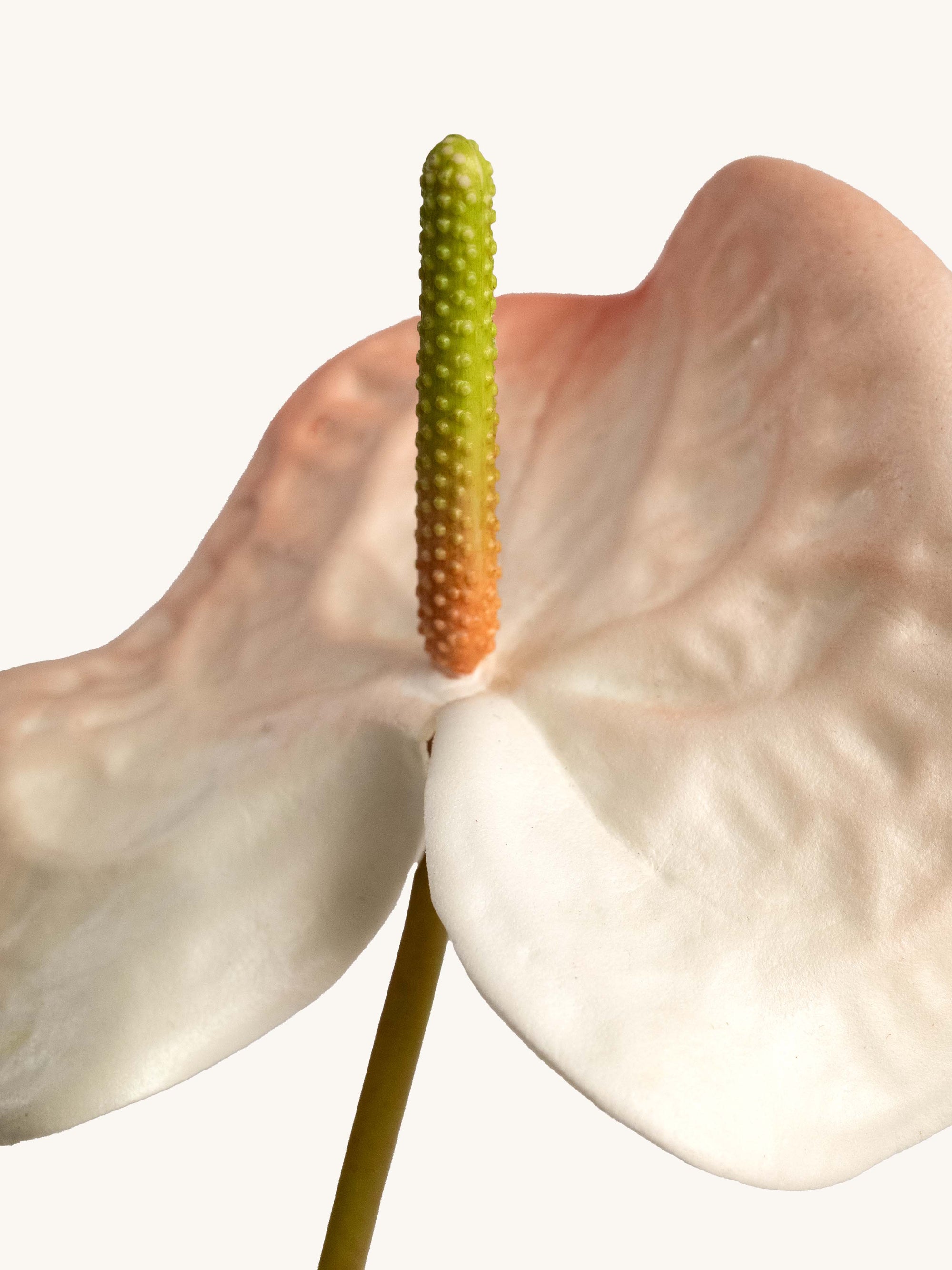 Pink-White Artificial Tropical Anthurium - 23"