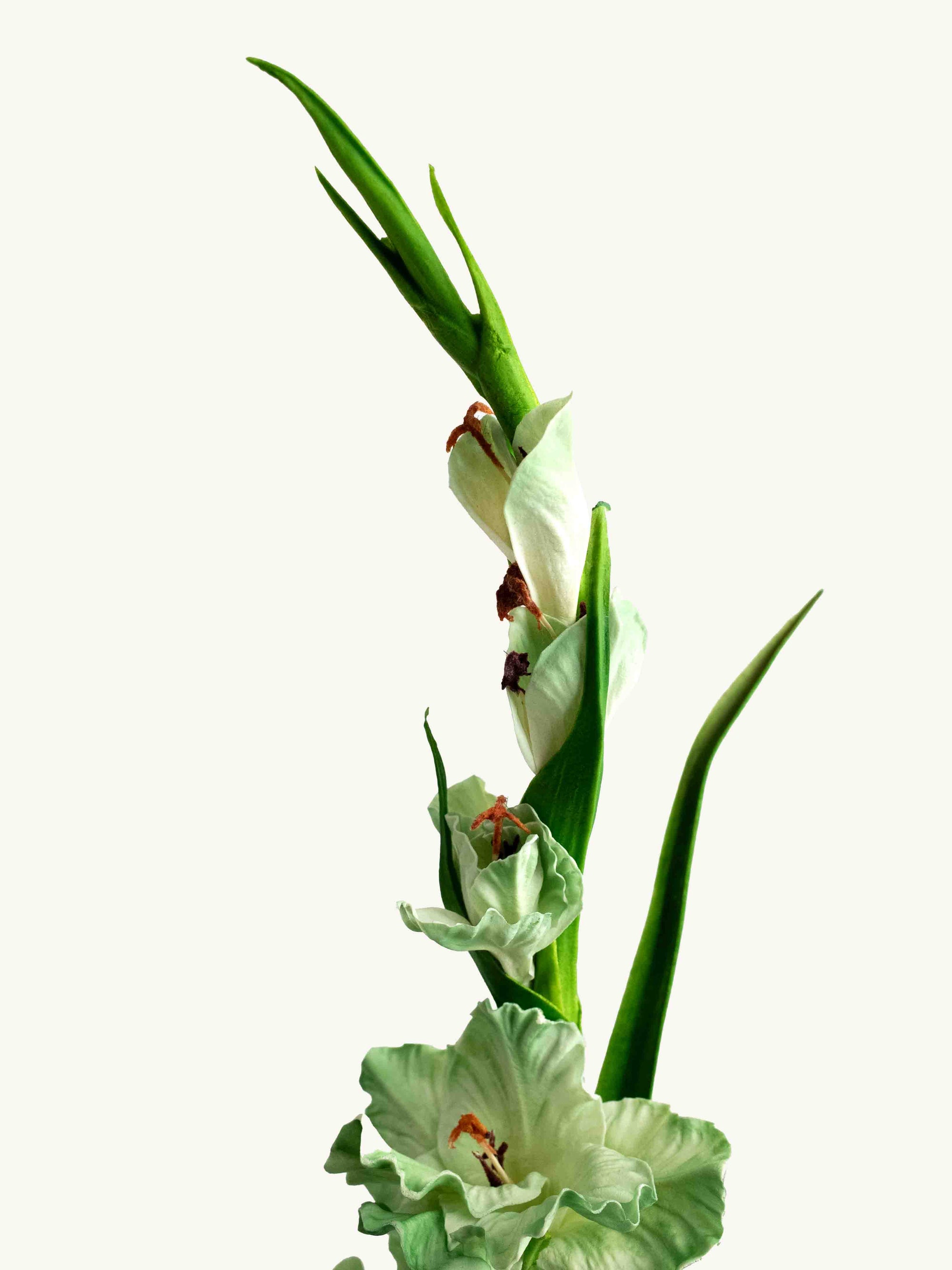 Green Artificial Real Touch Gladiolus Sword Lily - 32"