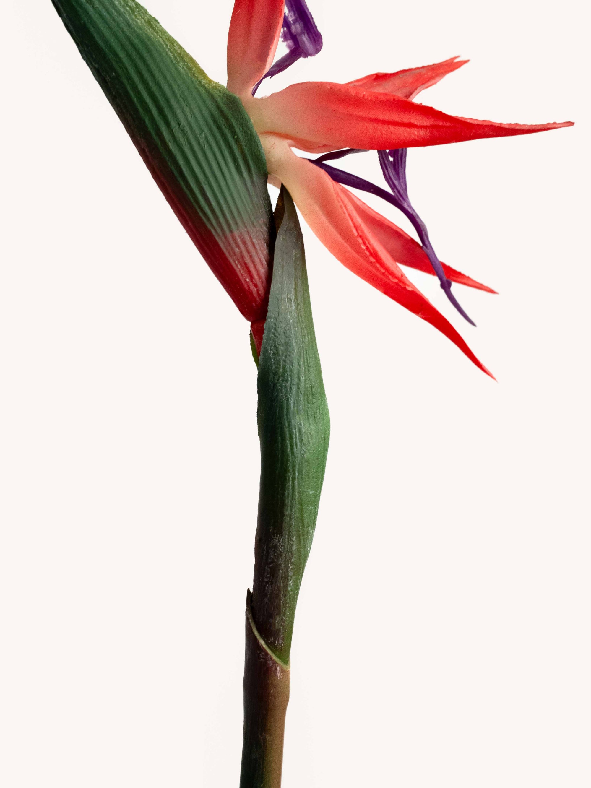 Red Artificial Bird of Paradise - 25"