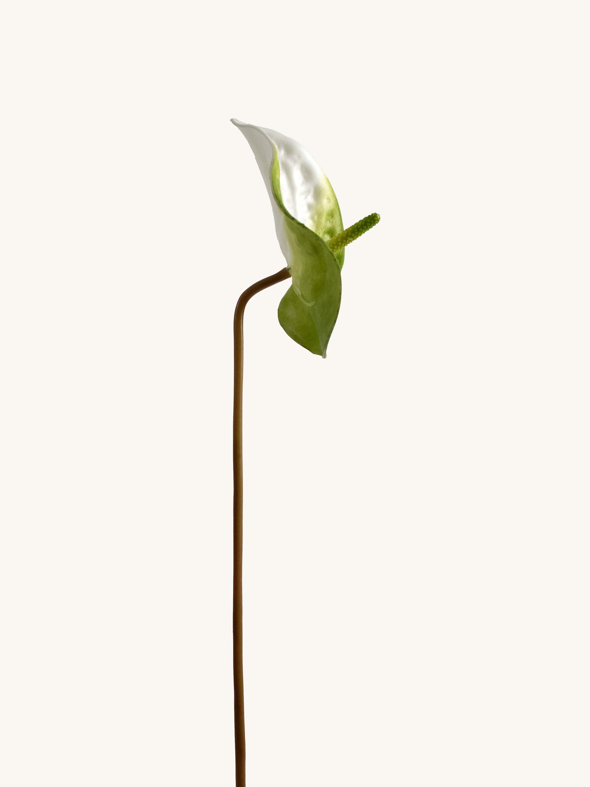 White & Deep Green Artificial Tropical Anthurium - 23"