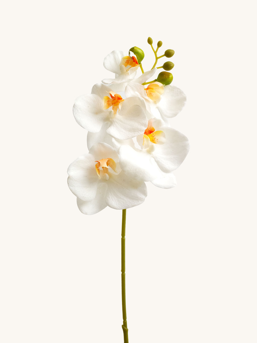 Creamy White Artificial Phalaenopsis Moth Orchid - 18"