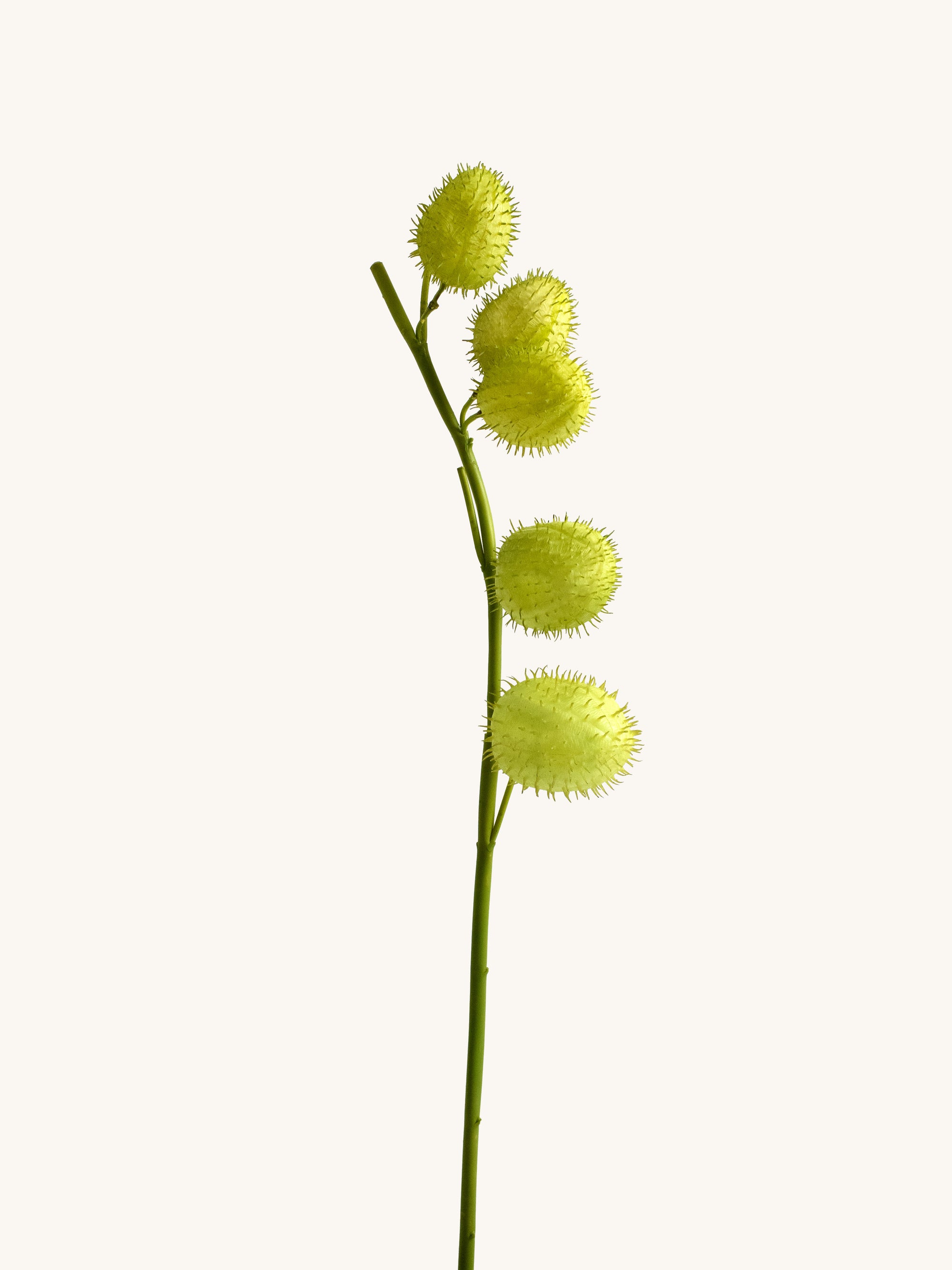 Faux Green Swan Plant Fruit (Hairy Balls) - 25"
