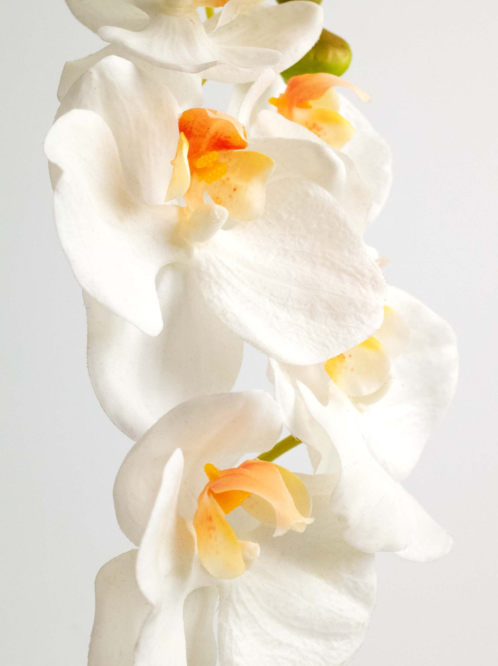 Creamy White Artificial Phalaenopsis Moth Orchid - 18"