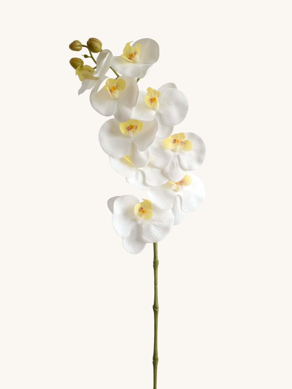 Pure White Artificial Phalaenopsis Moth Orchid - 39"