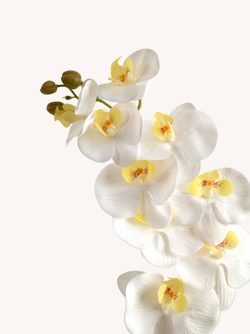 Pure White Artificial Phalaenopsis Moth Orchid - 39"