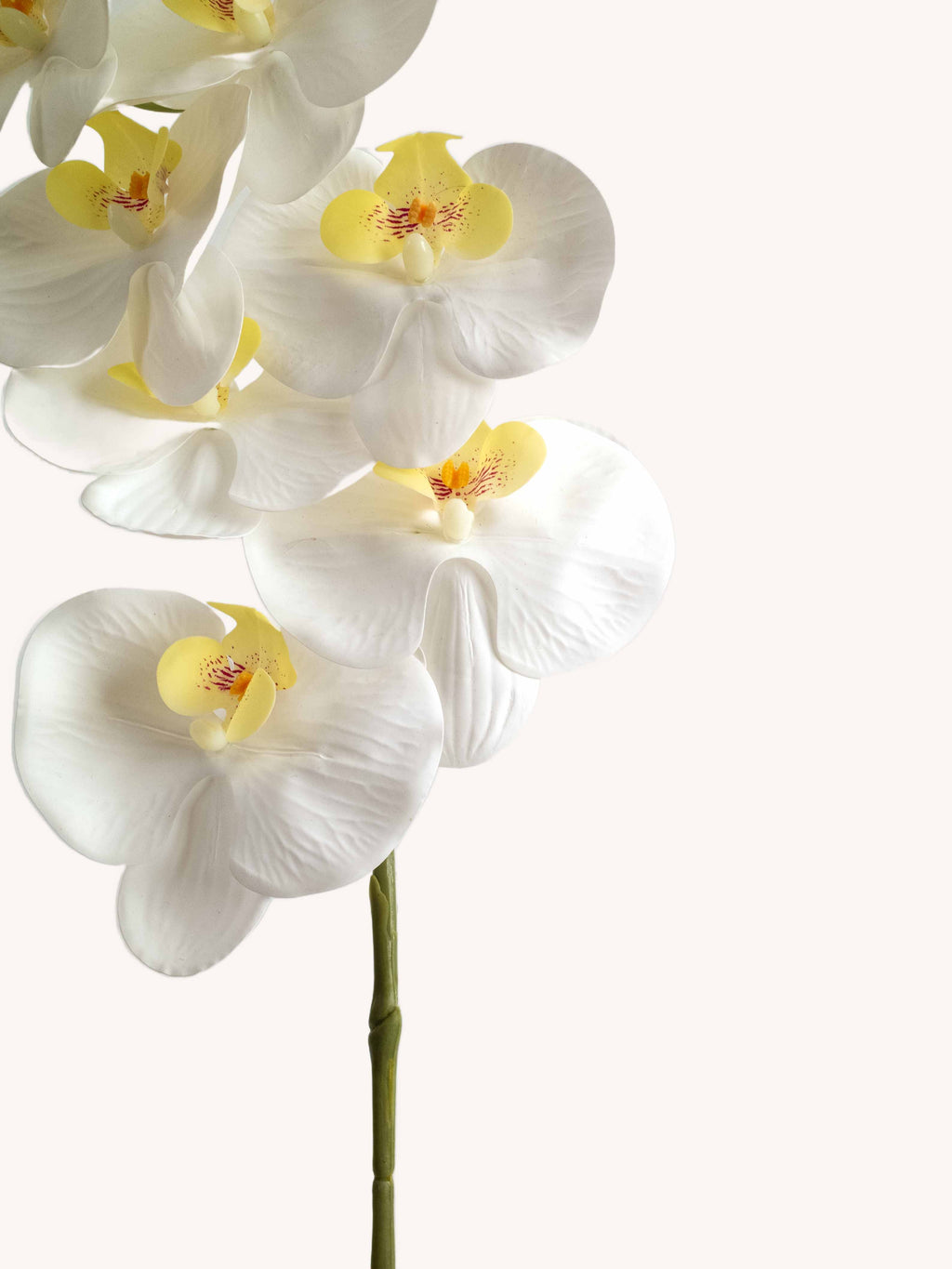 Pure White Artificial Phalaenopsis Moth Orchid - 39"