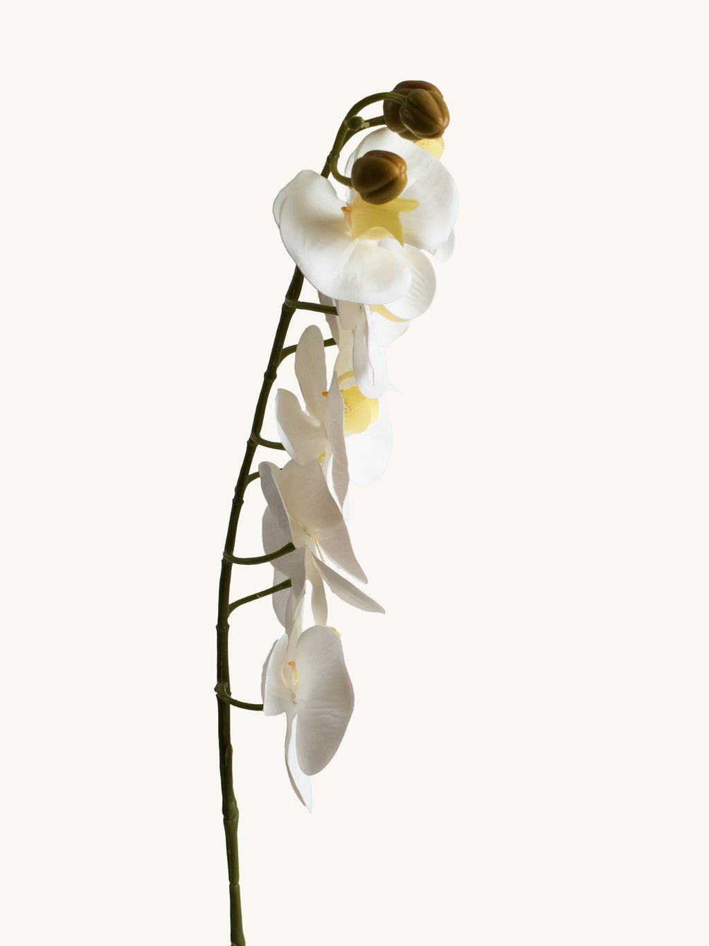 Pure White Artificial Phalaenopsis Moth Orchid - 39"