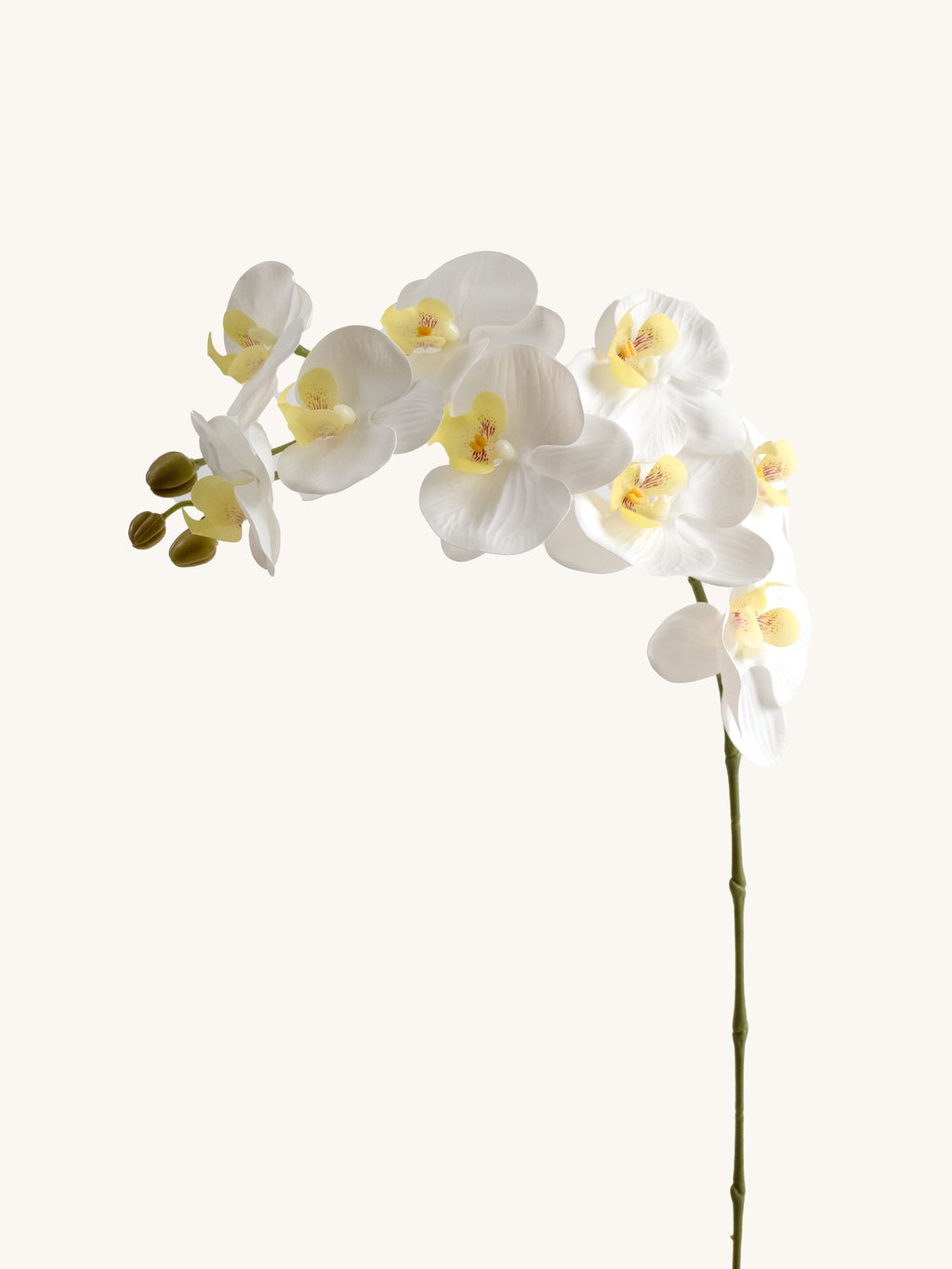 Pure White Artificial Phalaenopsis Moth Orchid - 39"